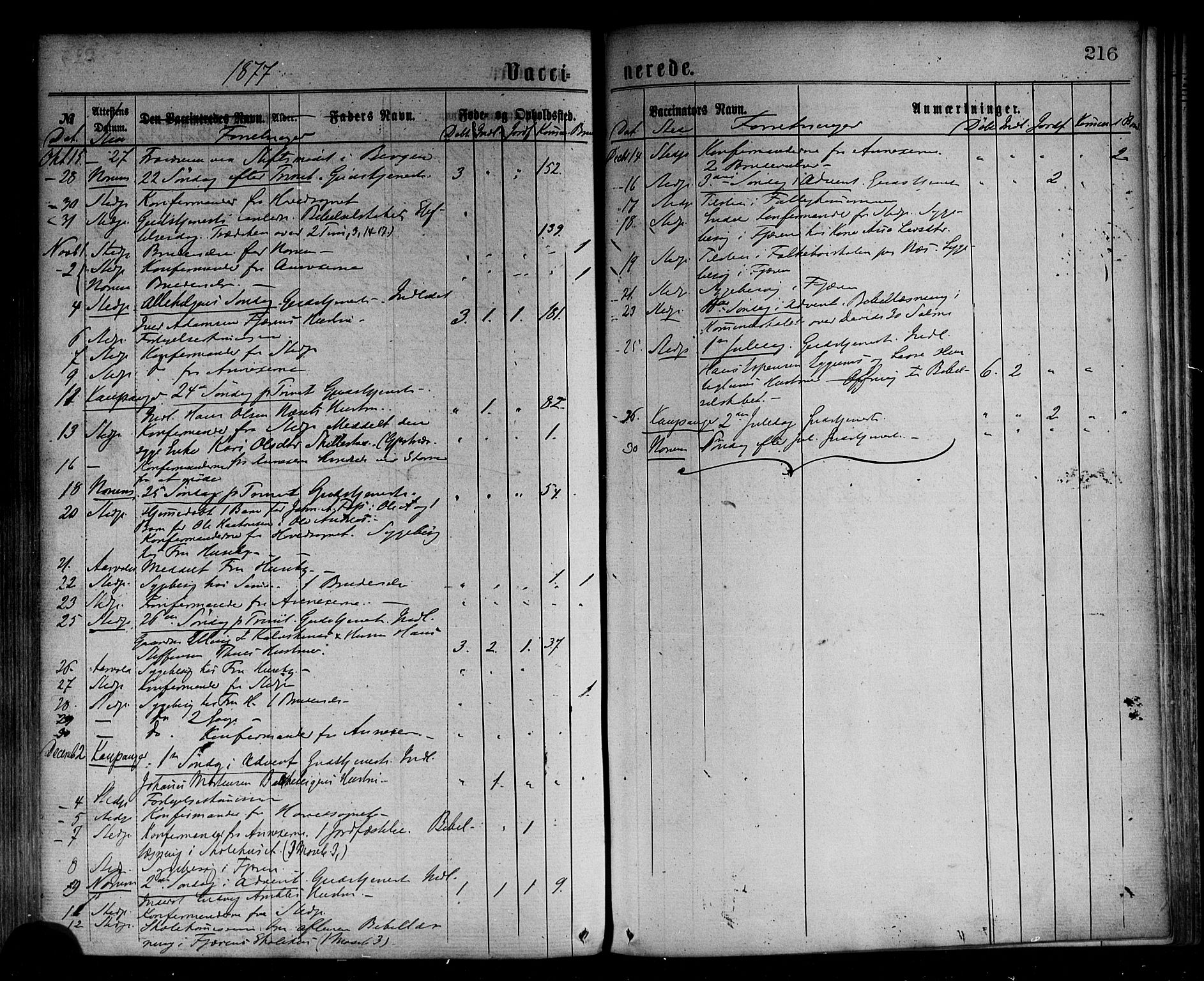 Sogndal sokneprestembete, SAB/A-81301/H/Haa/Haaa/L0014: Parish register (official) no. A 14, 1864-1877, p. 216