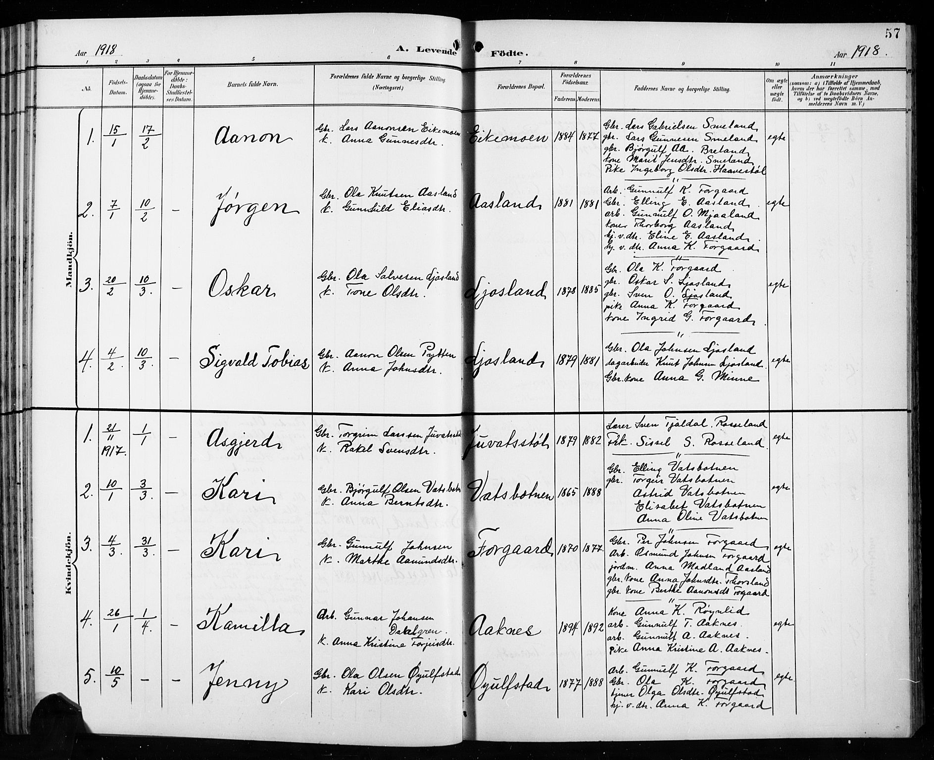 Åseral sokneprestkontor, SAK/1111-0051/F/Fb/L0003: Parish register (copy) no. B 3, 1900-1919, p. 57