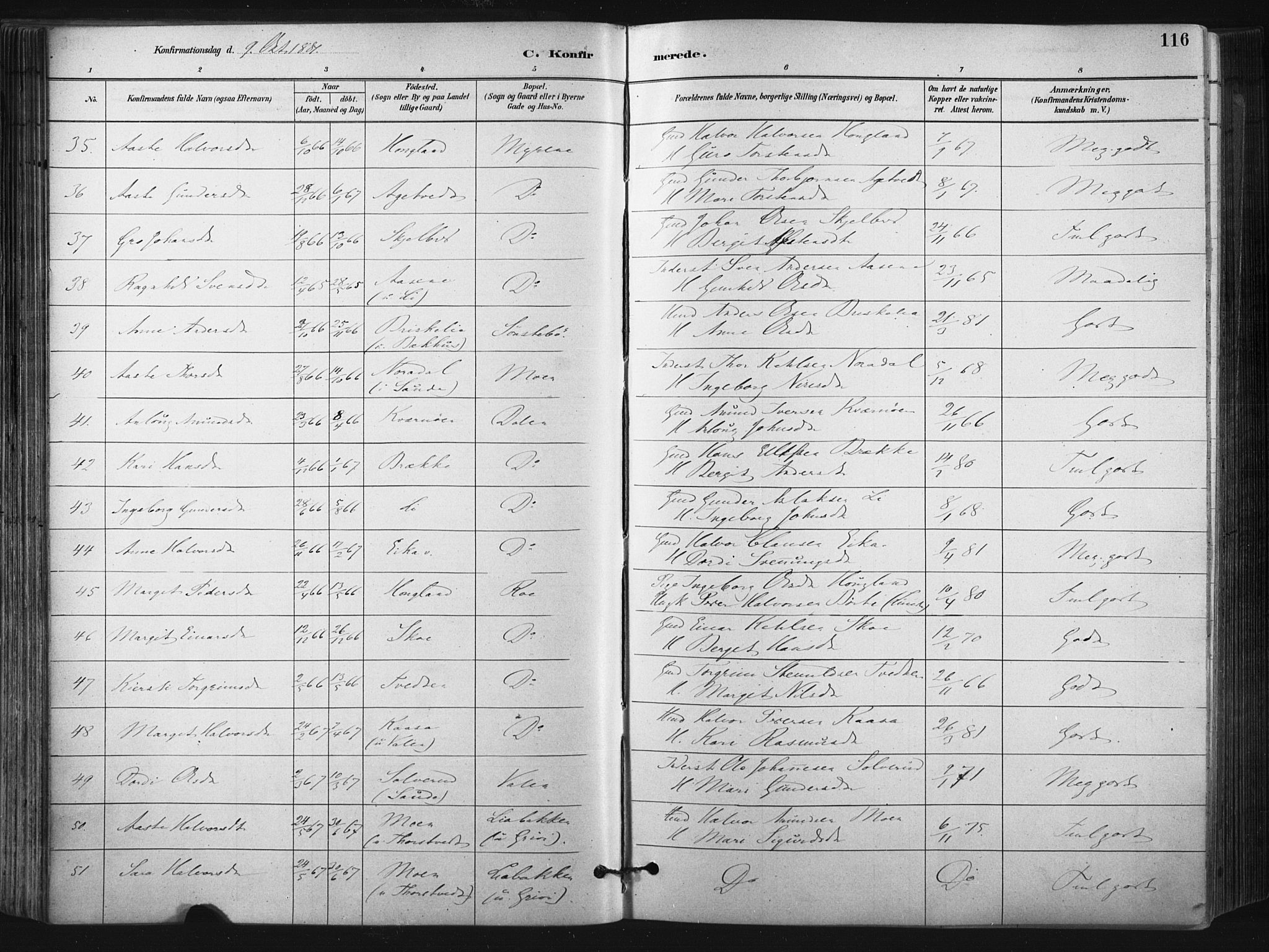 Bø kirkebøker, AV/SAKO-A-257/F/Fa/L0010: Parish register (official) no. 10, 1880-1892, p. 116