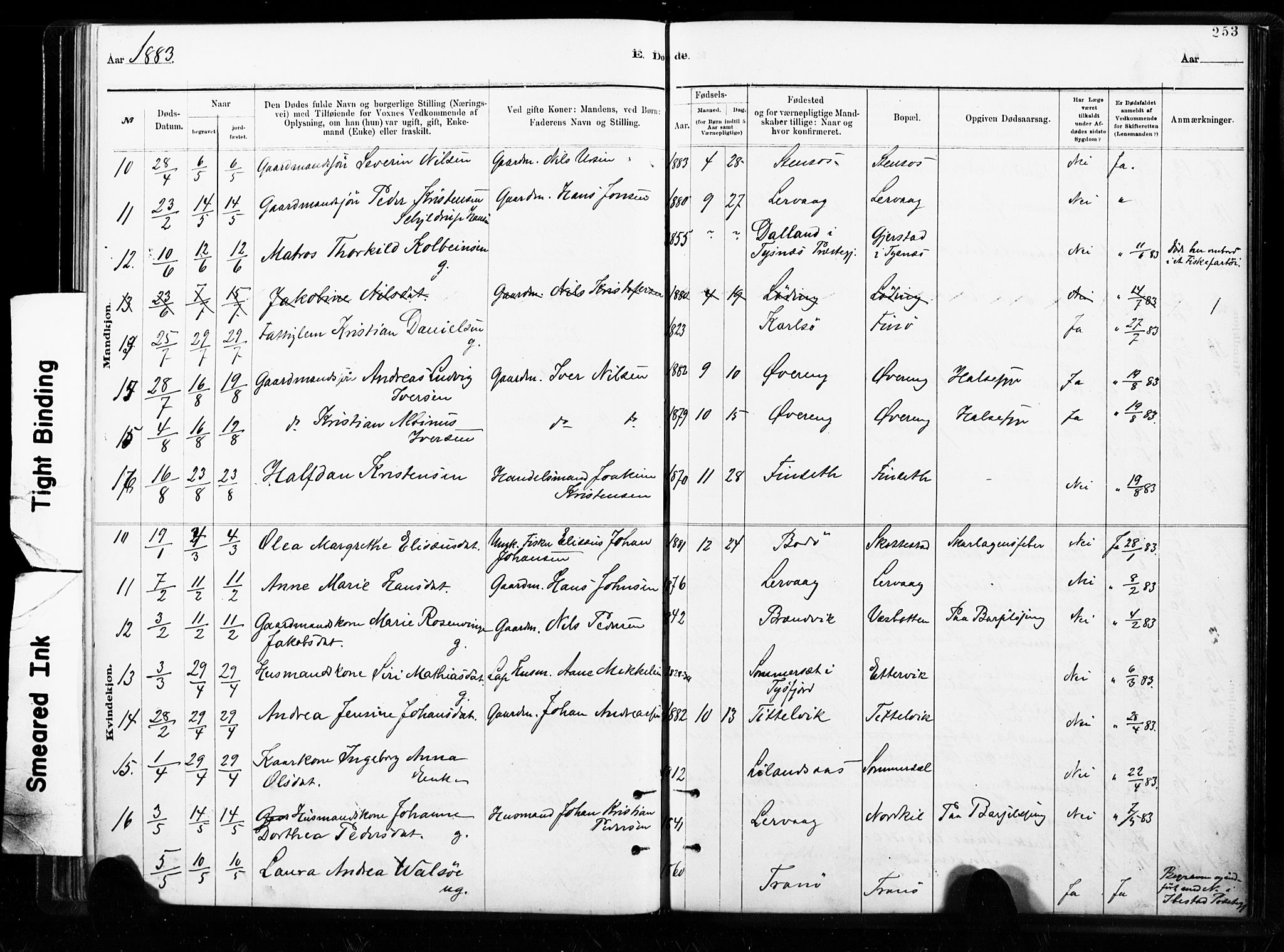 Ministerialprotokoller, klokkerbøker og fødselsregistre - Nordland, AV/SAT-A-1459/859/L0846: Parish register (official) no. 859A06, 1878-1889, p. 253