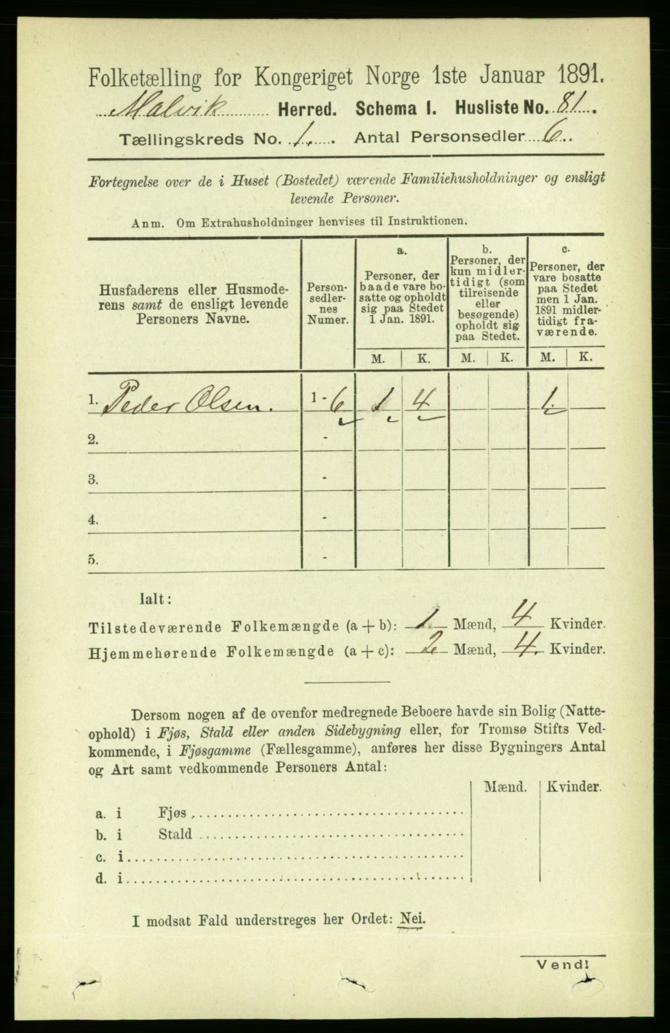 RA, 1891 census for 1663 Malvik, 1891, p. 100