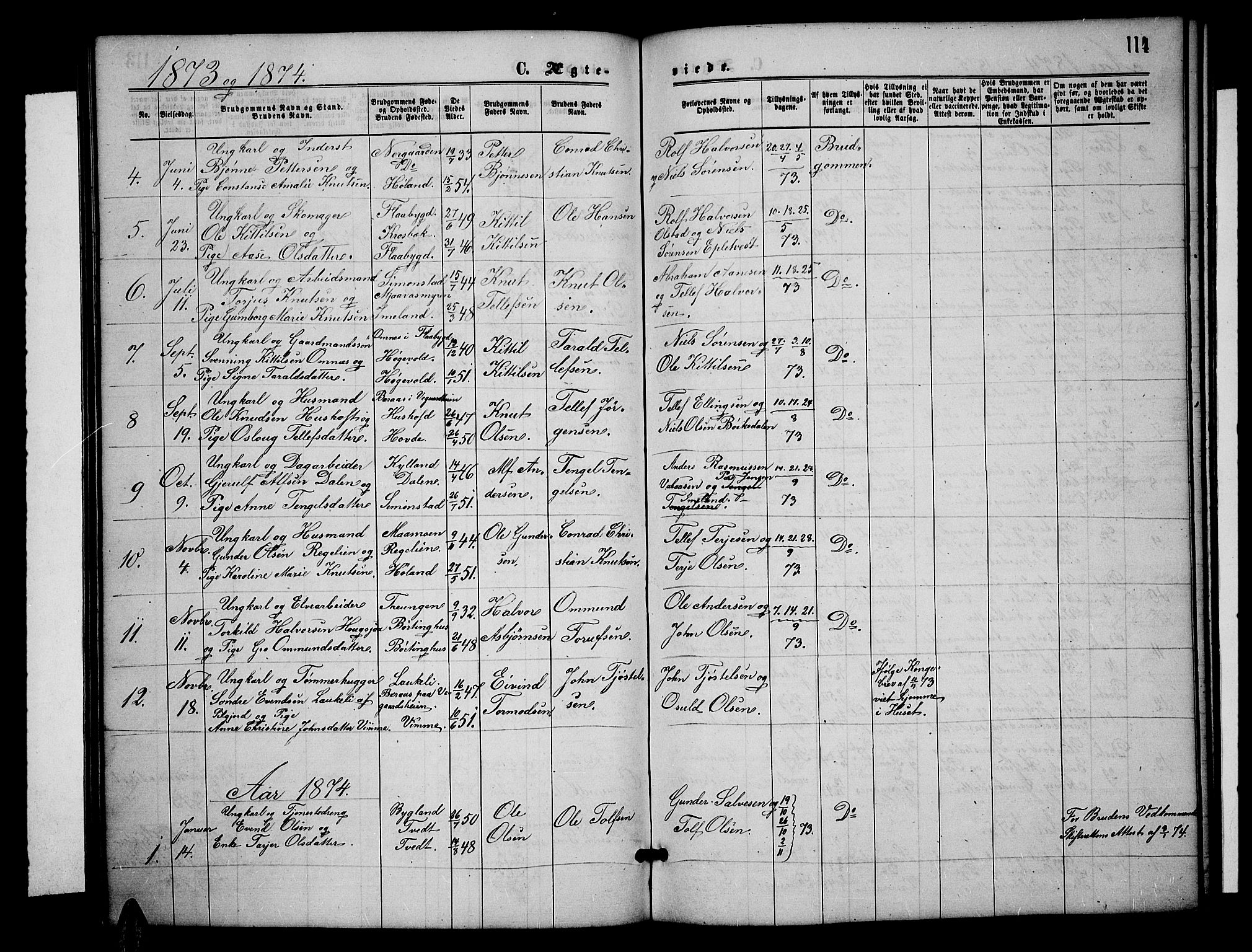 Åmli sokneprestkontor, SAK/1111-0050/F/Fb/Fbc/L0003: Parish register (copy) no. B 3, 1868-1888, p. 114