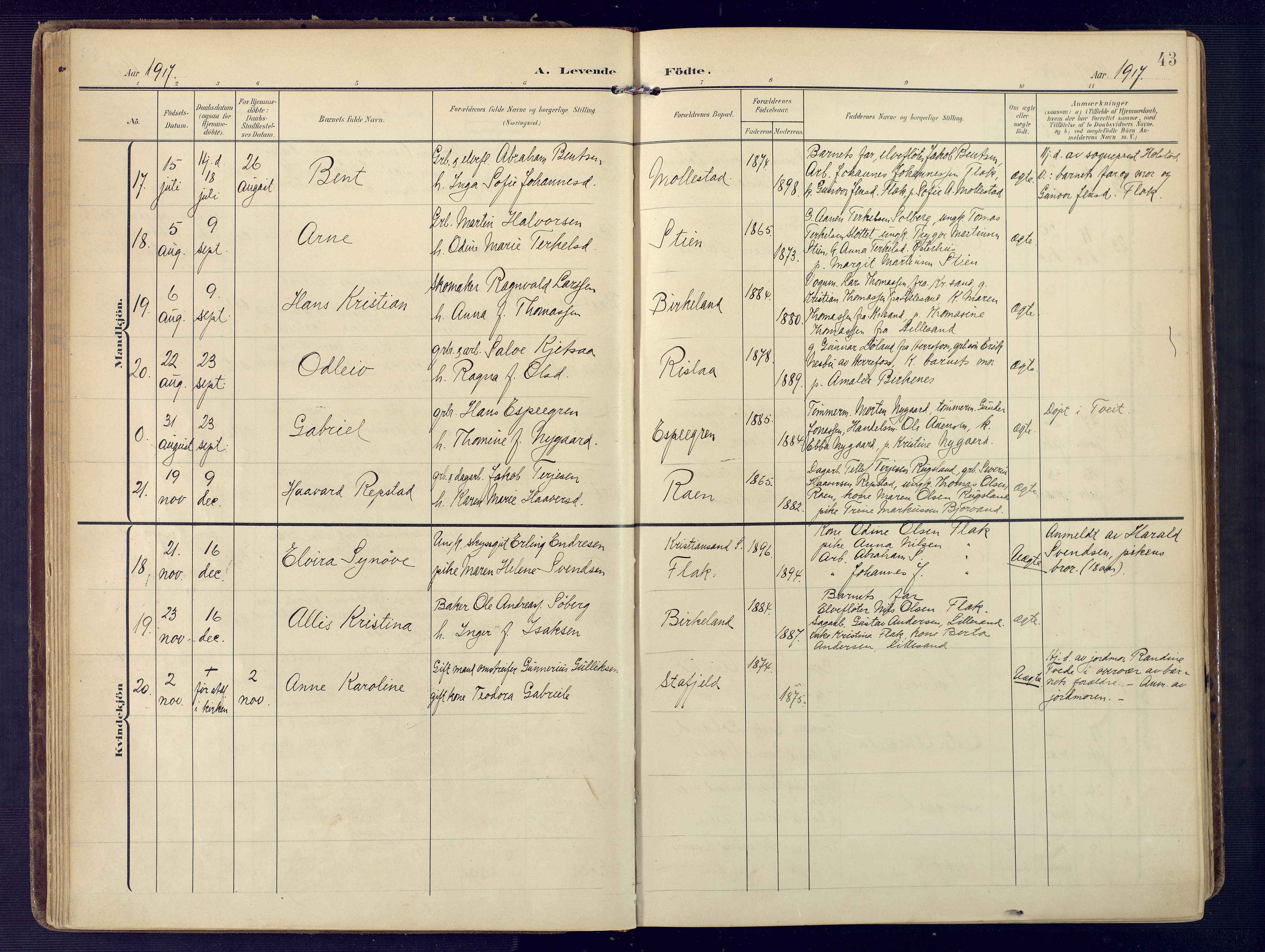 Birkenes sokneprestkontor, AV/SAK-1111-0004/F/Fa/L0006: Parish register (official) no. A 6, 1908-1932, p. 43