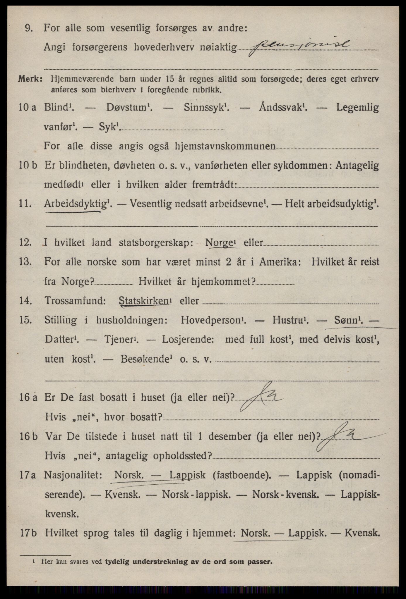 SAT, 1920 census for Støren, 1920, p. 1419