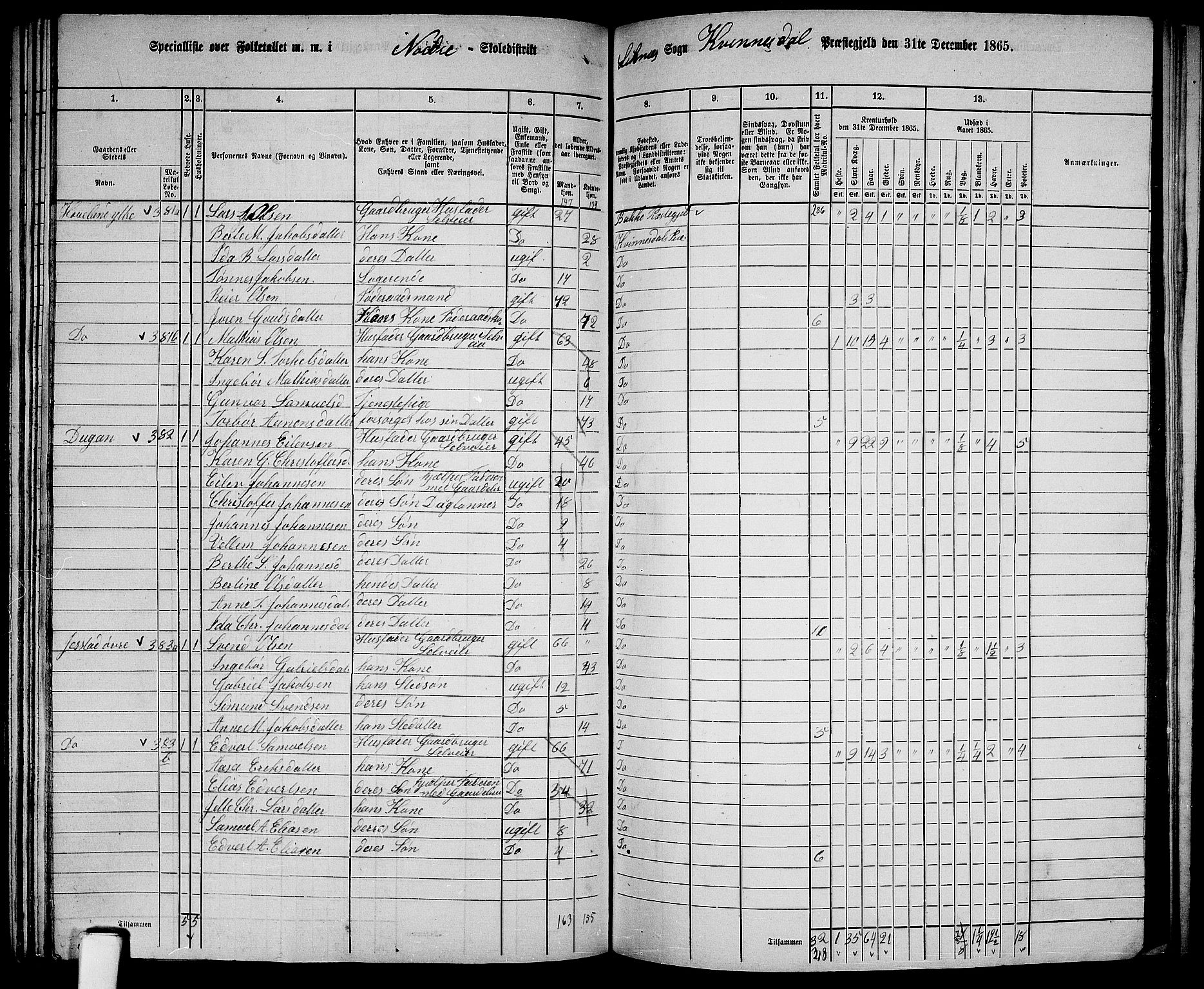 RA, 1865 census for Kvinesdal, 1865, p. 102