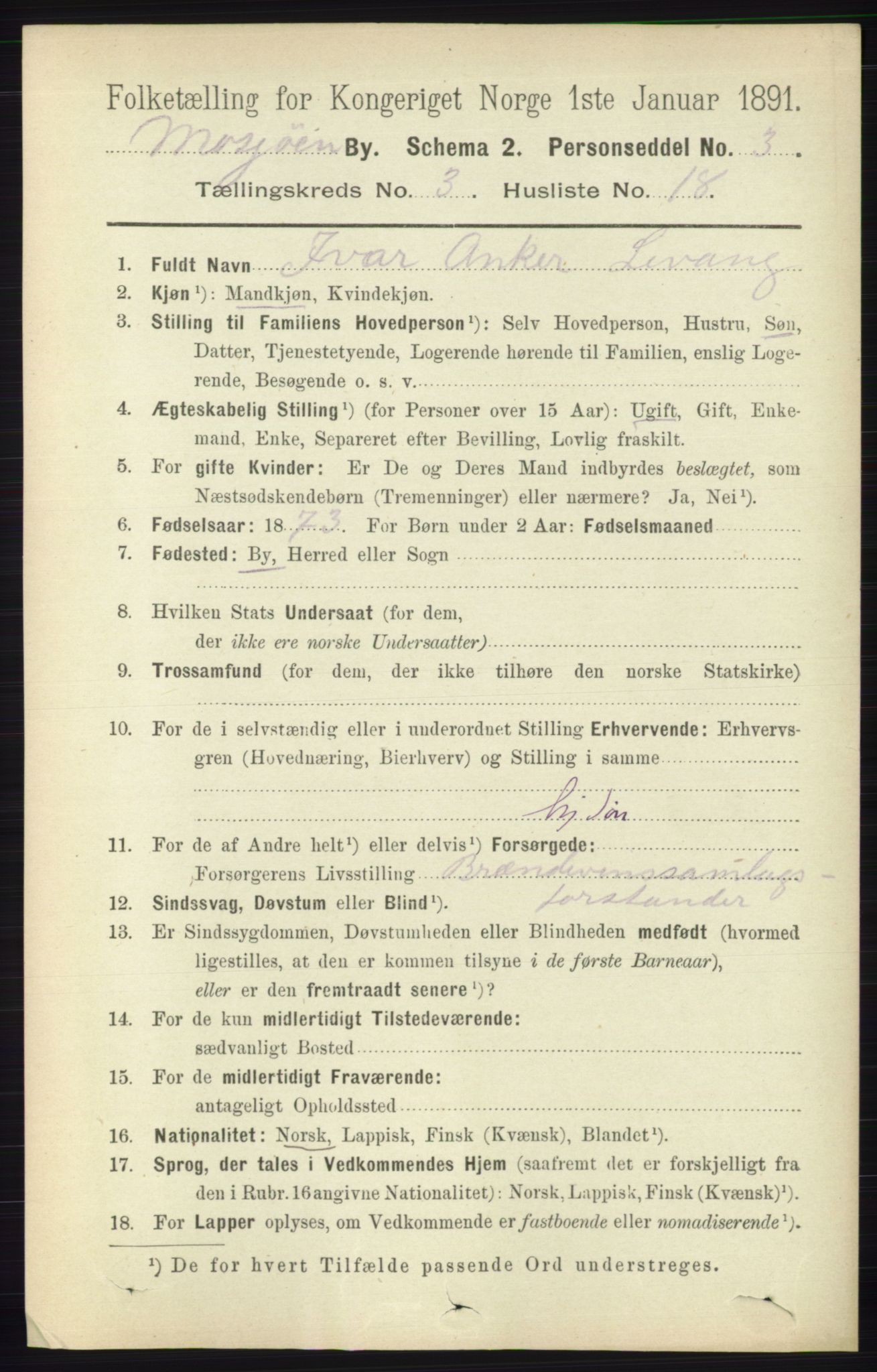 RA, 1891 census for 1802 Mosjøen, 1891, p. 1387