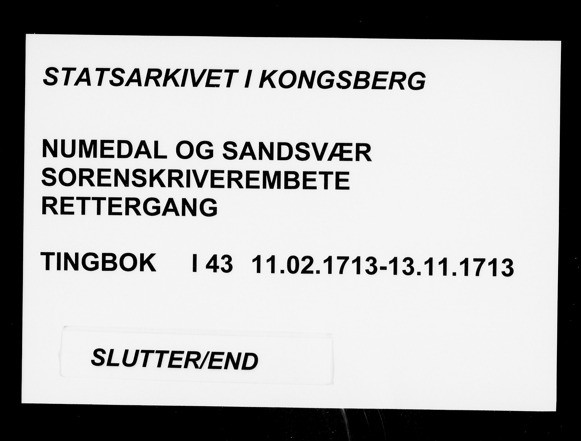 Numedal og Sandsvær sorenskriveri, AV/SAKO-A-128/F/Fa/Faa/L0043: Tingbøker, 1713