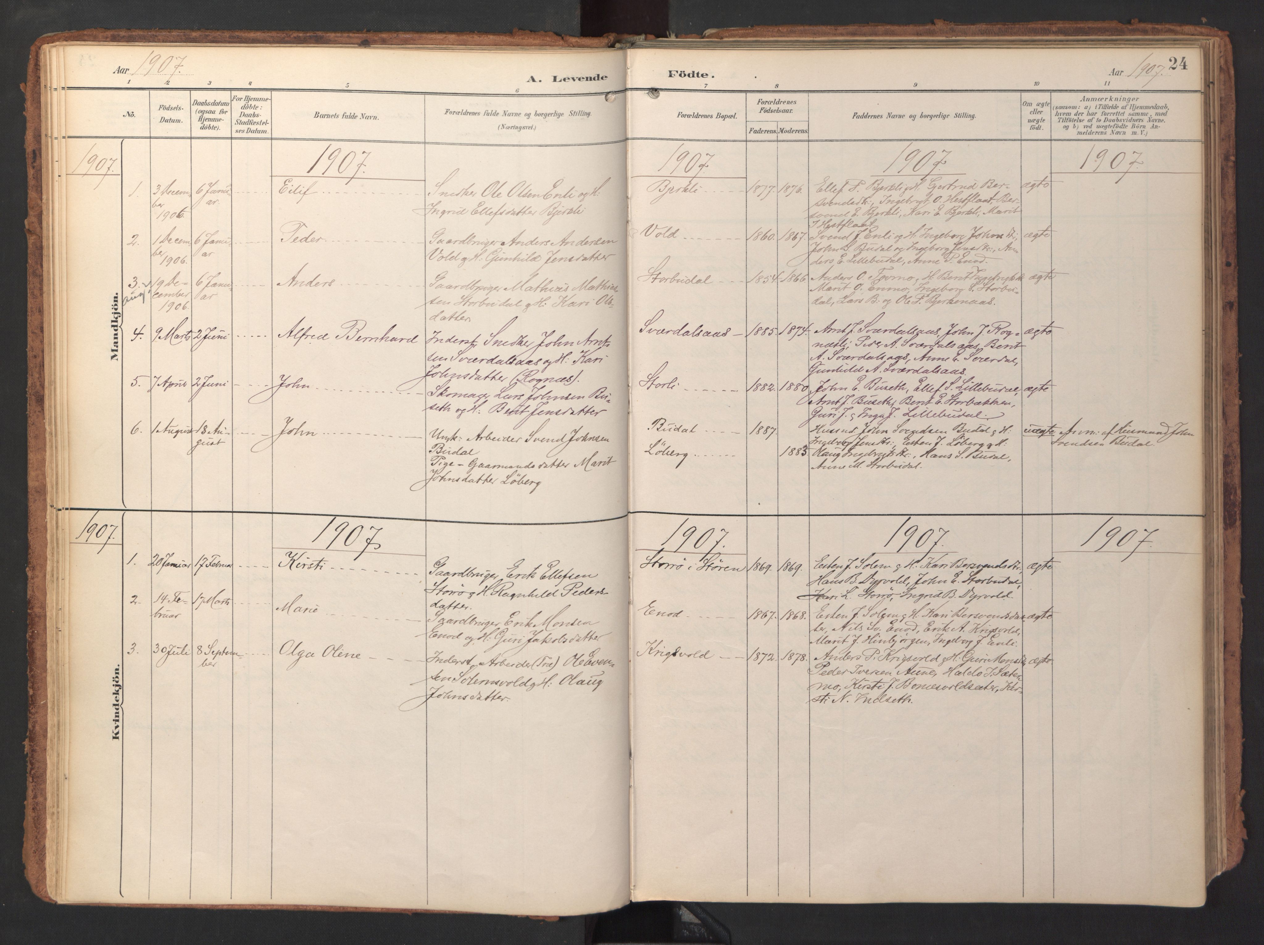 Ministerialprotokoller, klokkerbøker og fødselsregistre - Sør-Trøndelag, SAT/A-1456/690/L1050: Parish register (official) no. 690A01, 1889-1929, p. 24