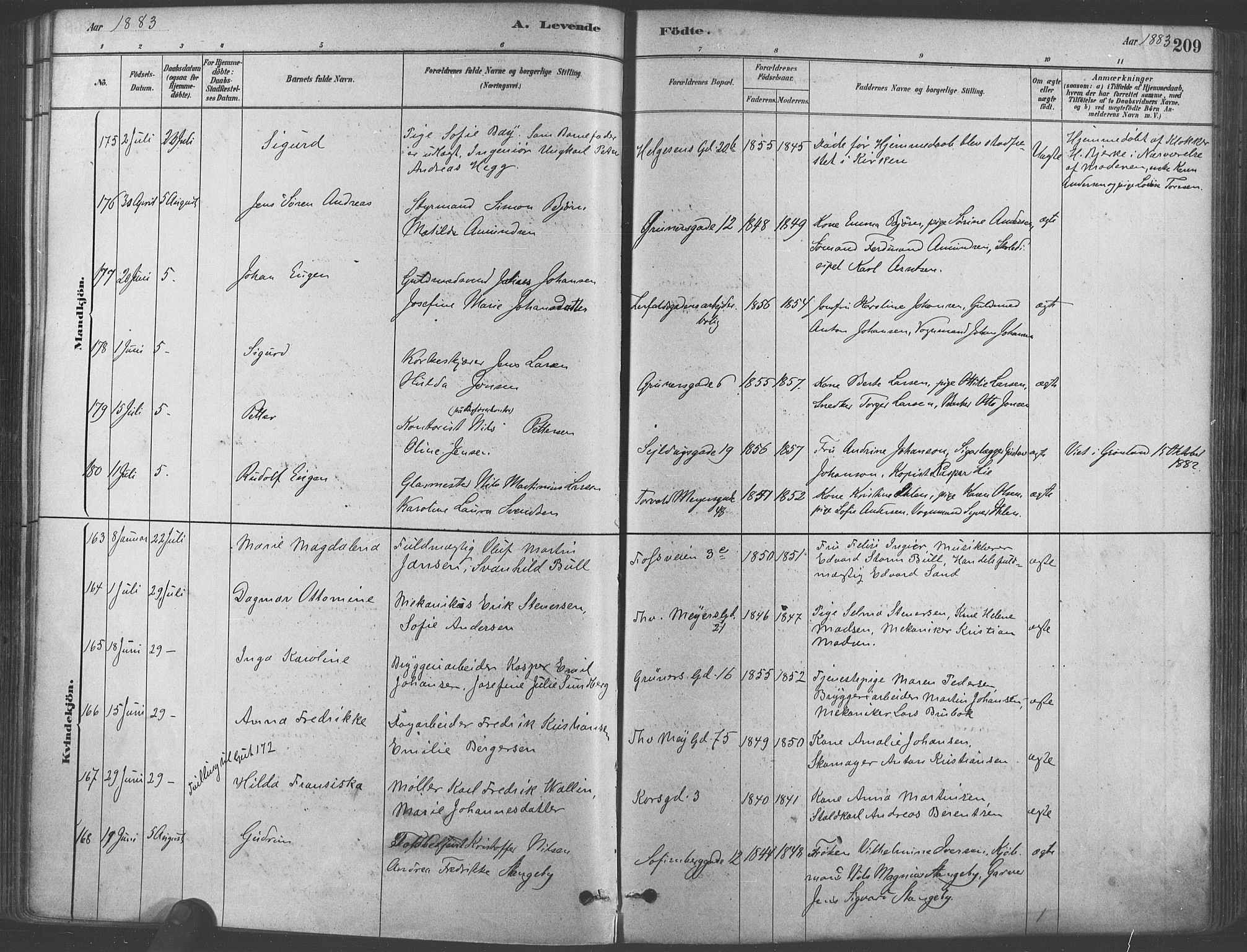 Paulus prestekontor Kirkebøker, AV/SAO-A-10871/F/Fa/L0003: Parish register (official) no. 3, 1879-1887, p. 209