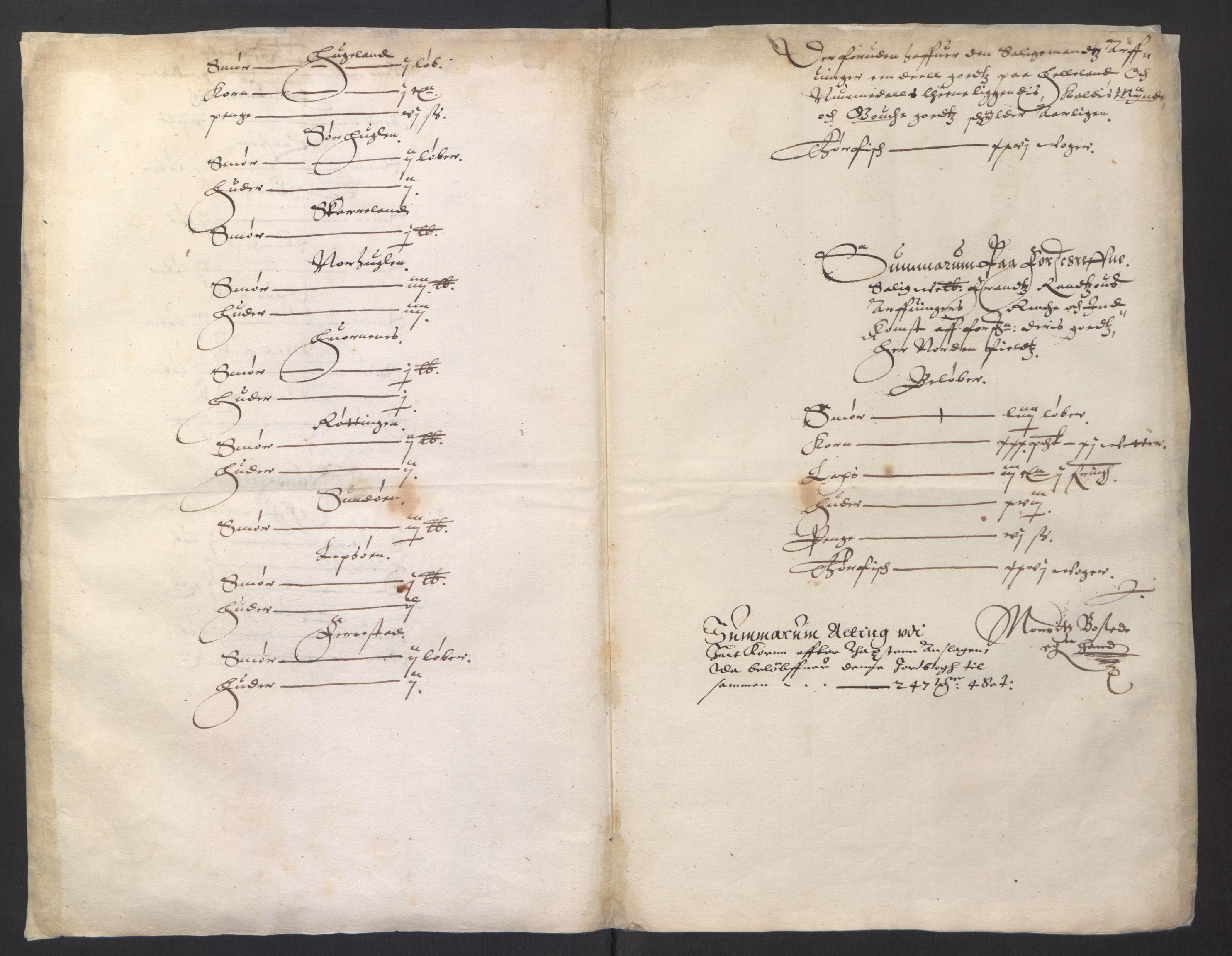 Stattholderembetet 1572-1771, AV/RA-EA-2870/Ek/L0007/0001: Jordebøker til utlikning av rosstjeneste 1624-1626: / Adelsjordebøker, 1624-1625, p. 300