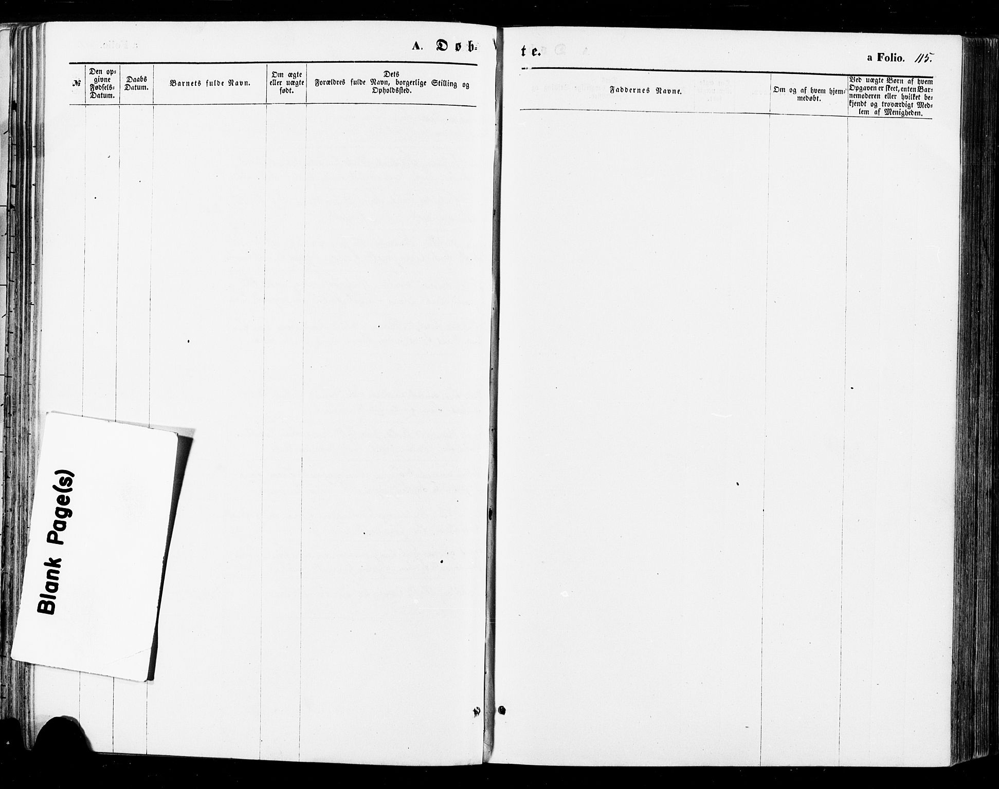 Sirdal sokneprestkontor, SAK/1111-0036/F/Fa/Fab/L0003: Parish register (official) no. A 3, 1874-1886, p. 115