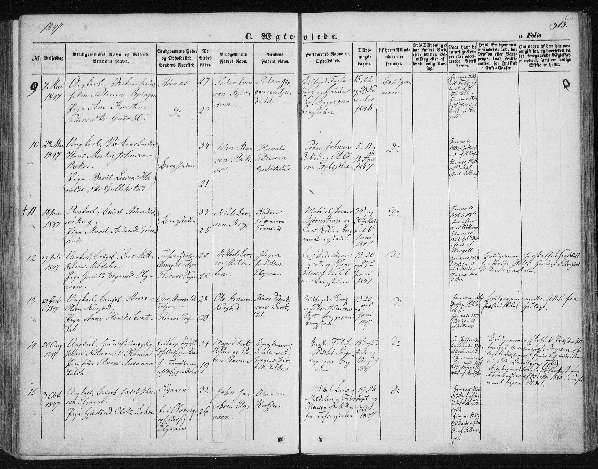 Ministerialprotokoller, klokkerbøker og fødselsregistre - Sør-Trøndelag, SAT/A-1456/681/L0931: Parish register (official) no. 681A09, 1845-1859, p. 315