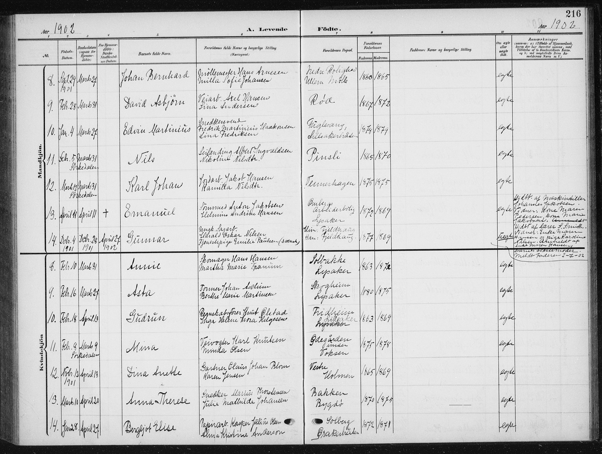 Vestre Aker prestekontor Kirkebøker, AV/SAO-A-10025/F/Fb/L0001: Parish register (official) no. II 1, 1880-1906, p. 216