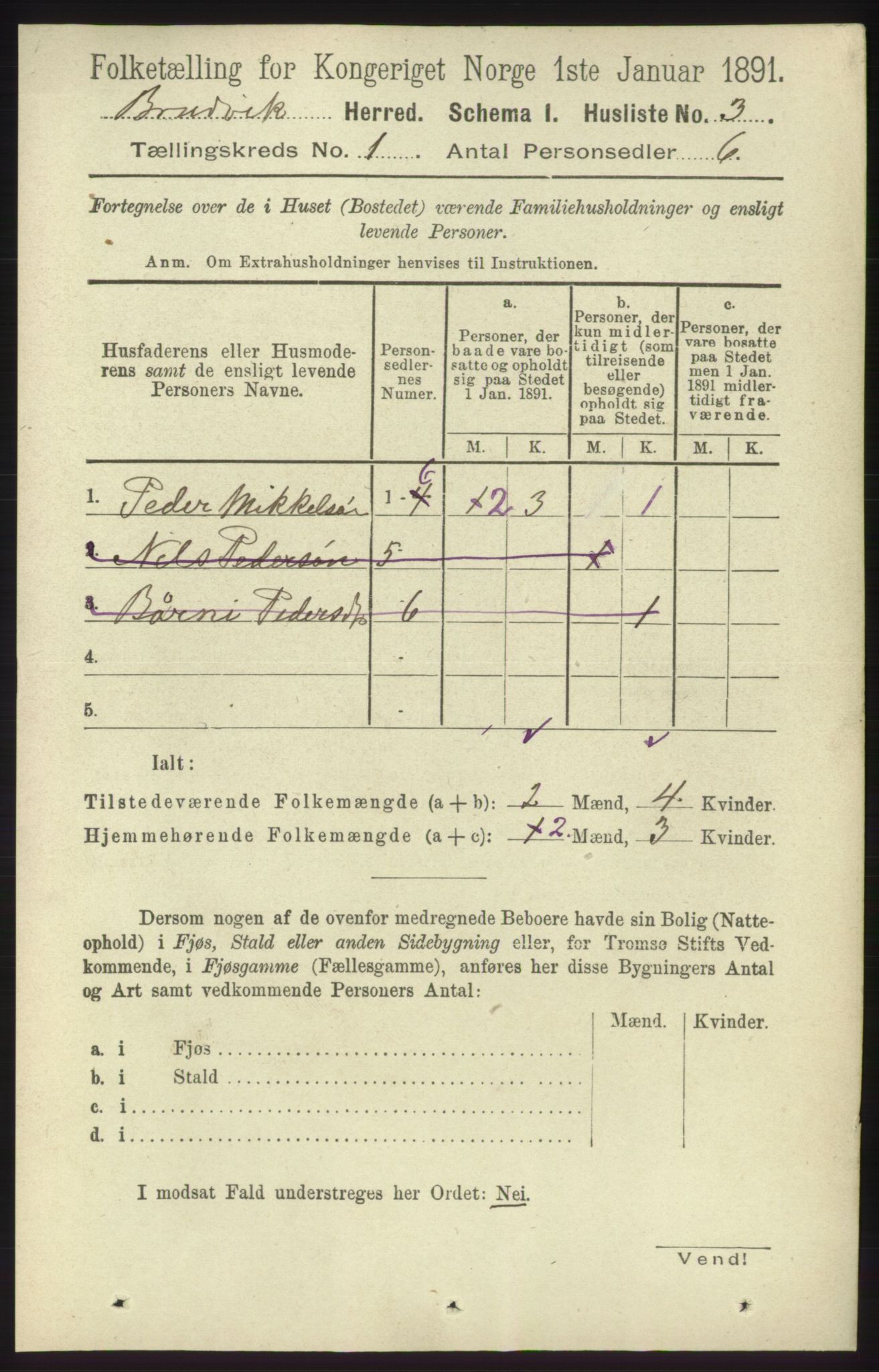 RA, 1891 census for 1251 Bruvik, 1891, p. 31