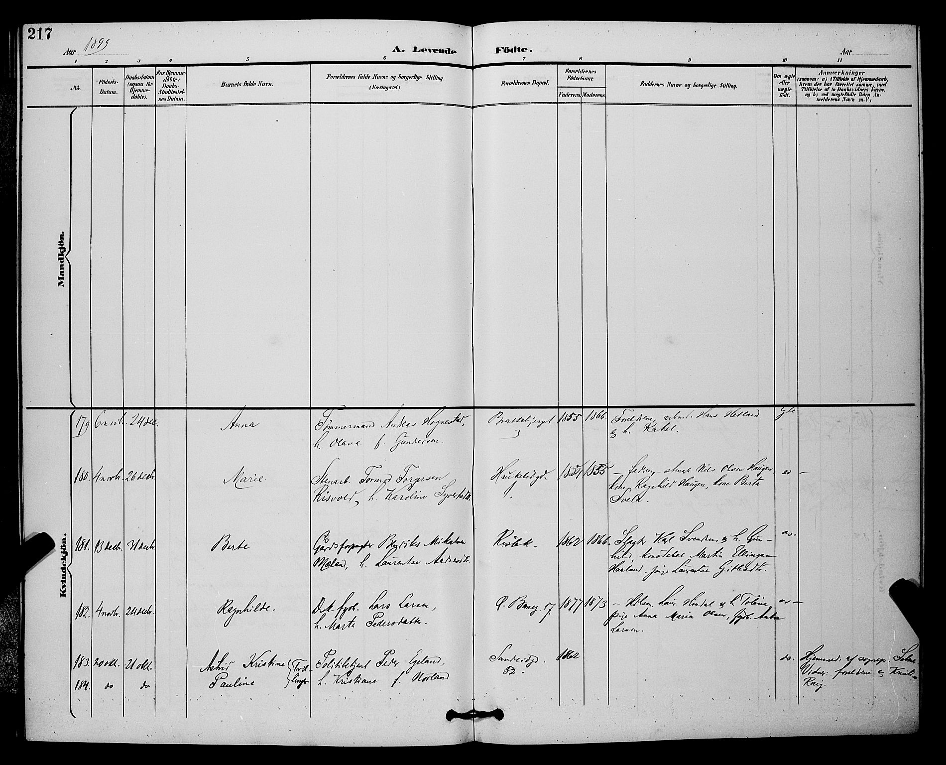 St. Johannes sokneprestkontor, AV/SAST-A-101814/001/30/30BB/L0003: Parish register (copy) no. B 3, 1893-1900, p. 217