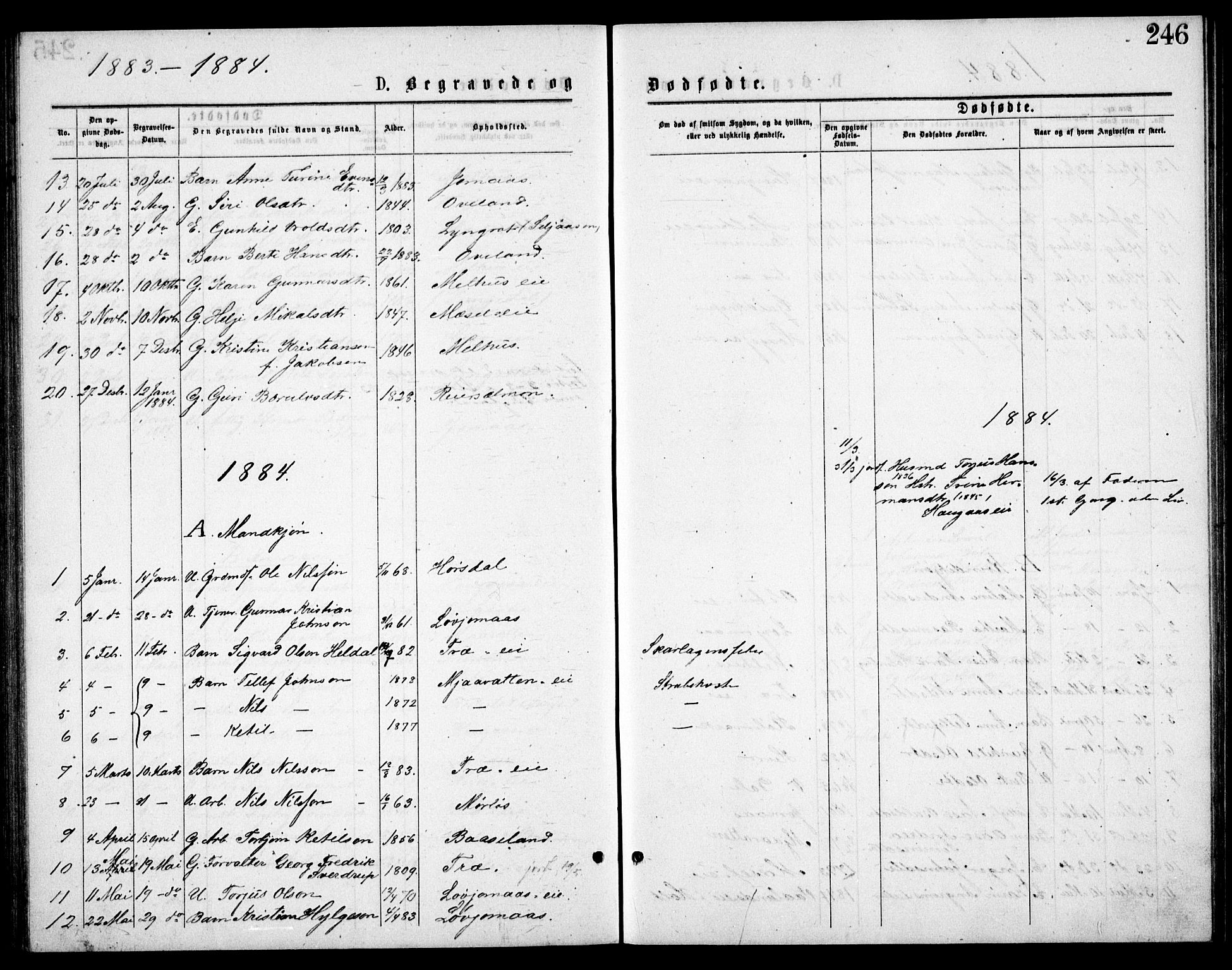Froland sokneprestkontor, SAK/1111-0013/F/Fb/L0009: Parish register (copy) no. B 9, 1875-1893, p. 246