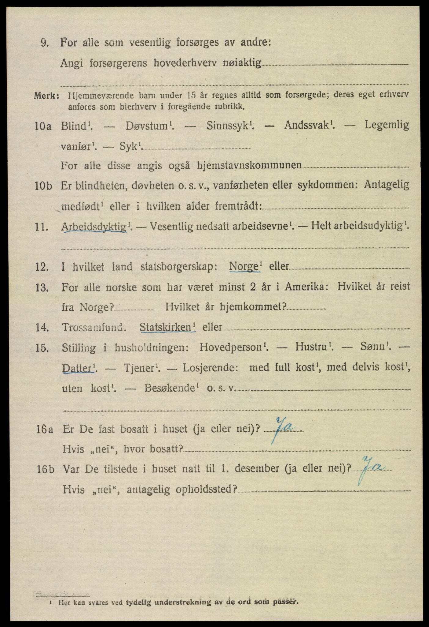 SAK, 1920 census for Hornnes, 1920, p. 3032