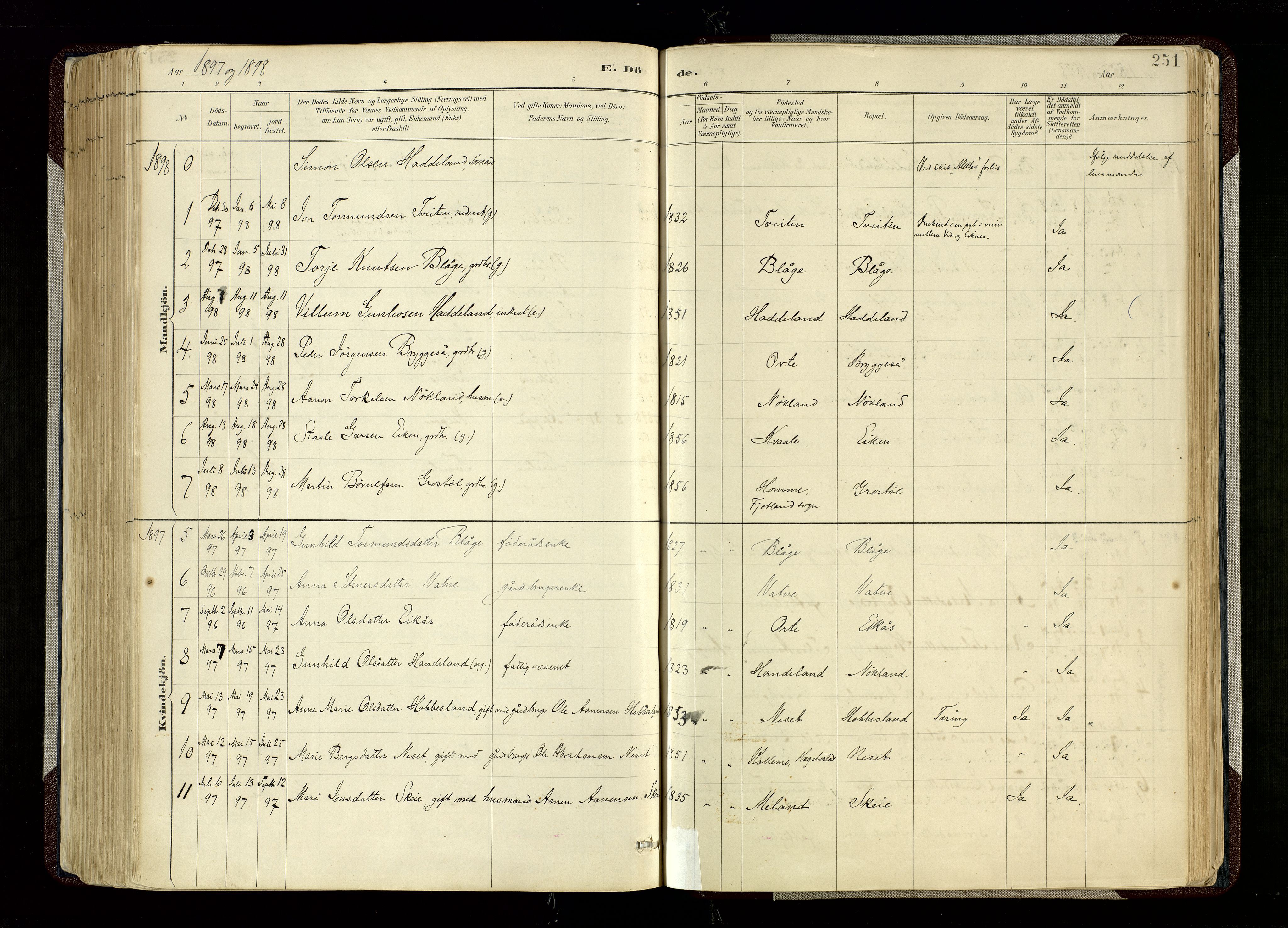 Hægebostad sokneprestkontor, SAK/1111-0024/F/Fa/Fab/L0004: Parish register (official) no. A 4, 1887-1929, p. 251