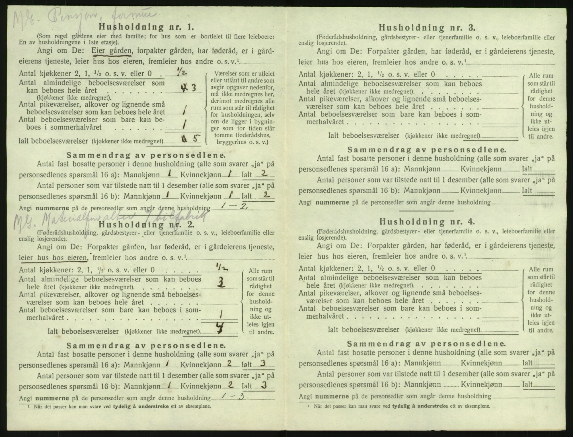 SAKO, 1920 census for Fredriksvern, 1920, p. 18