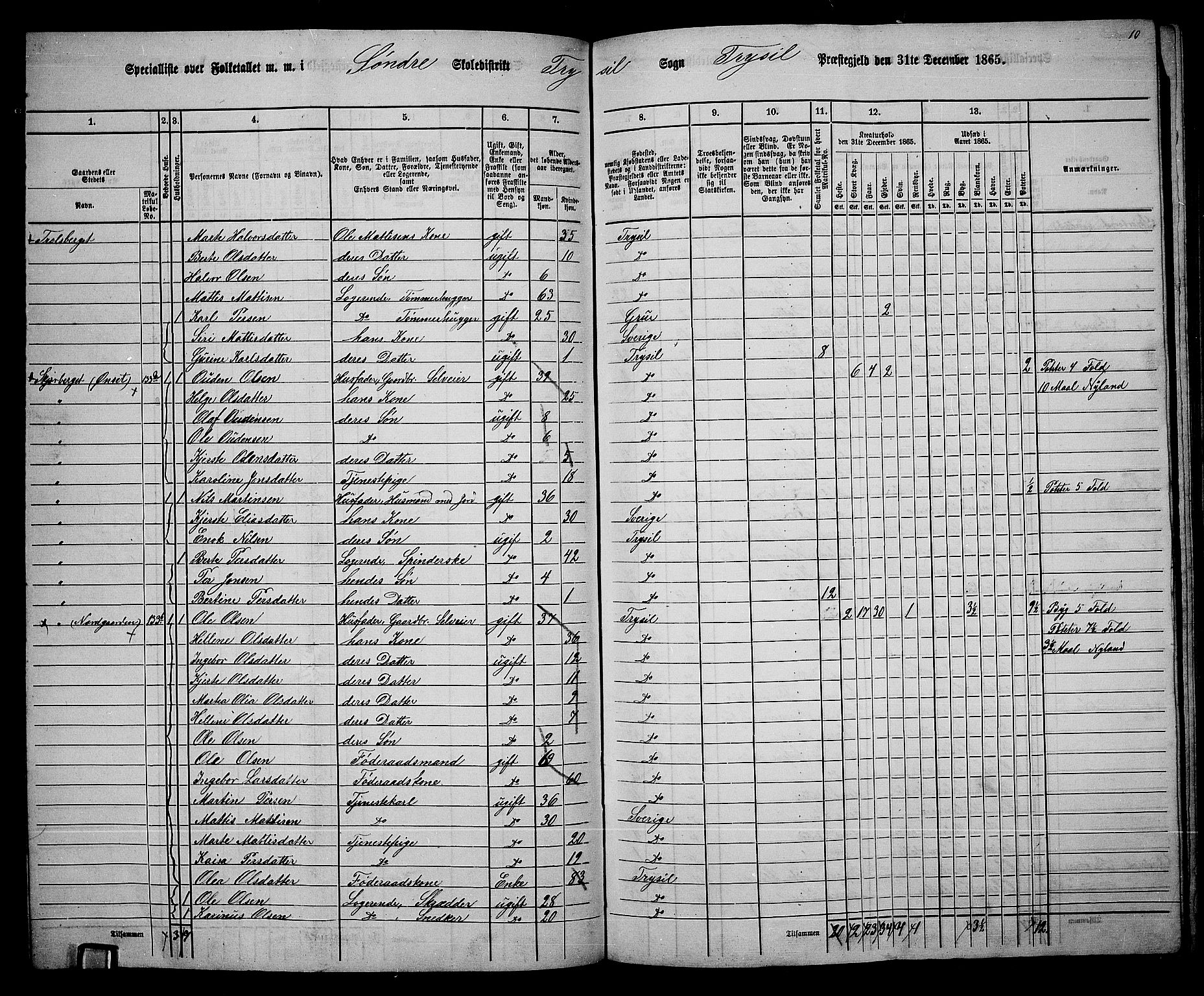 RA, 1865 census for Trysil, 1865, p. 101