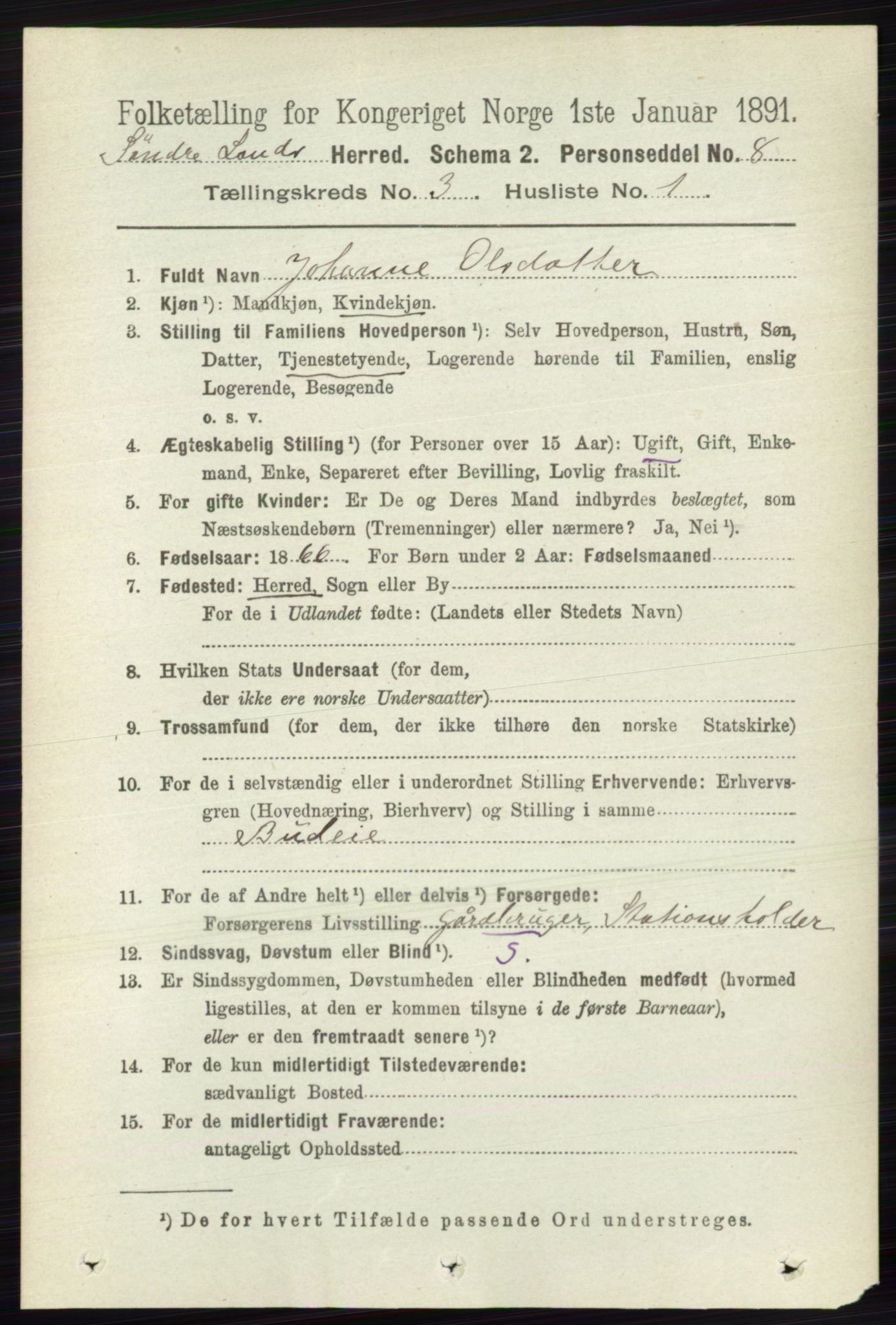 RA, 1891 census for 0536 Søndre Land, 1891, p. 2506