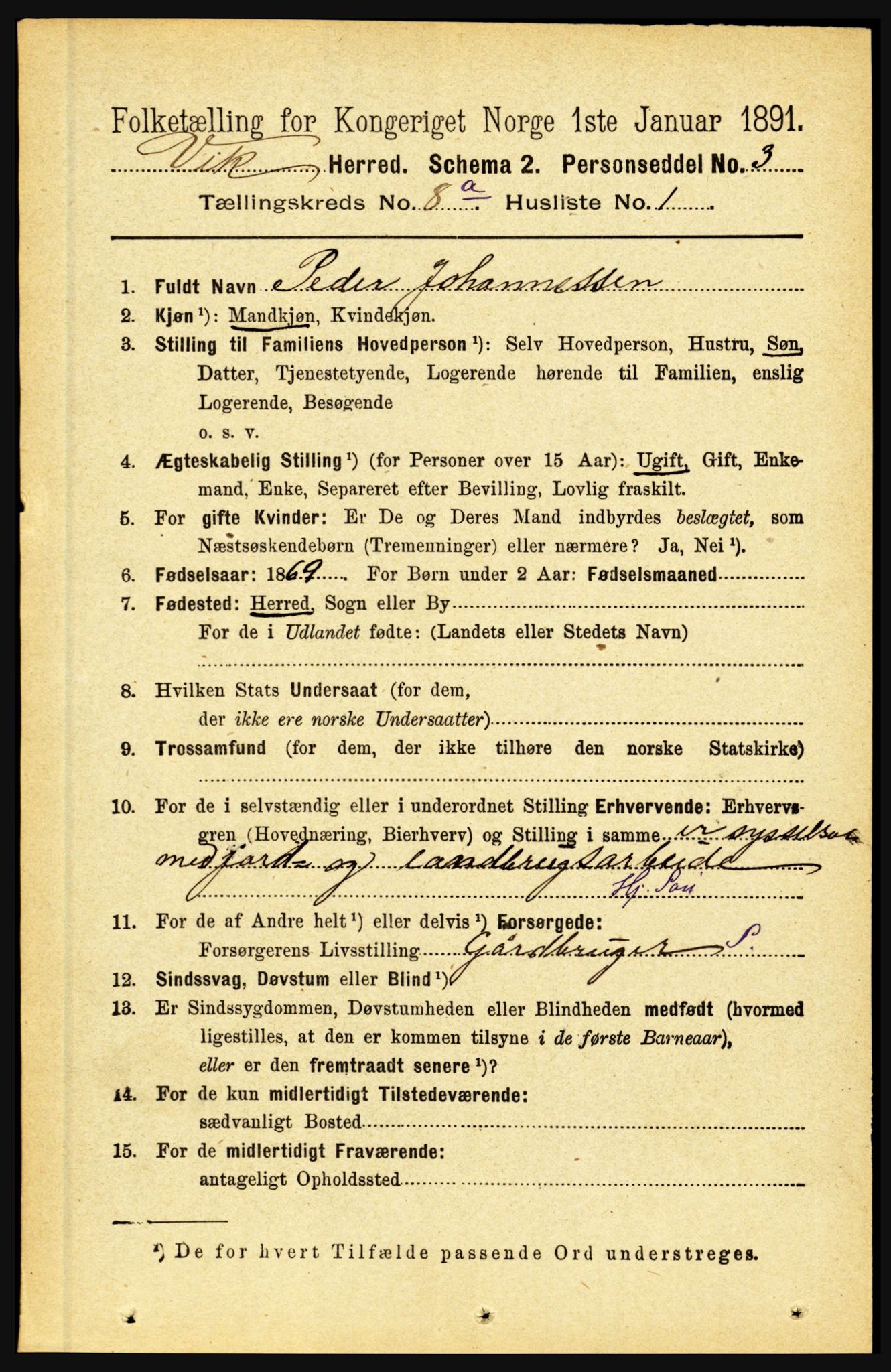 RA, 1891 census for 1417 Vik, 1891, p. 3539