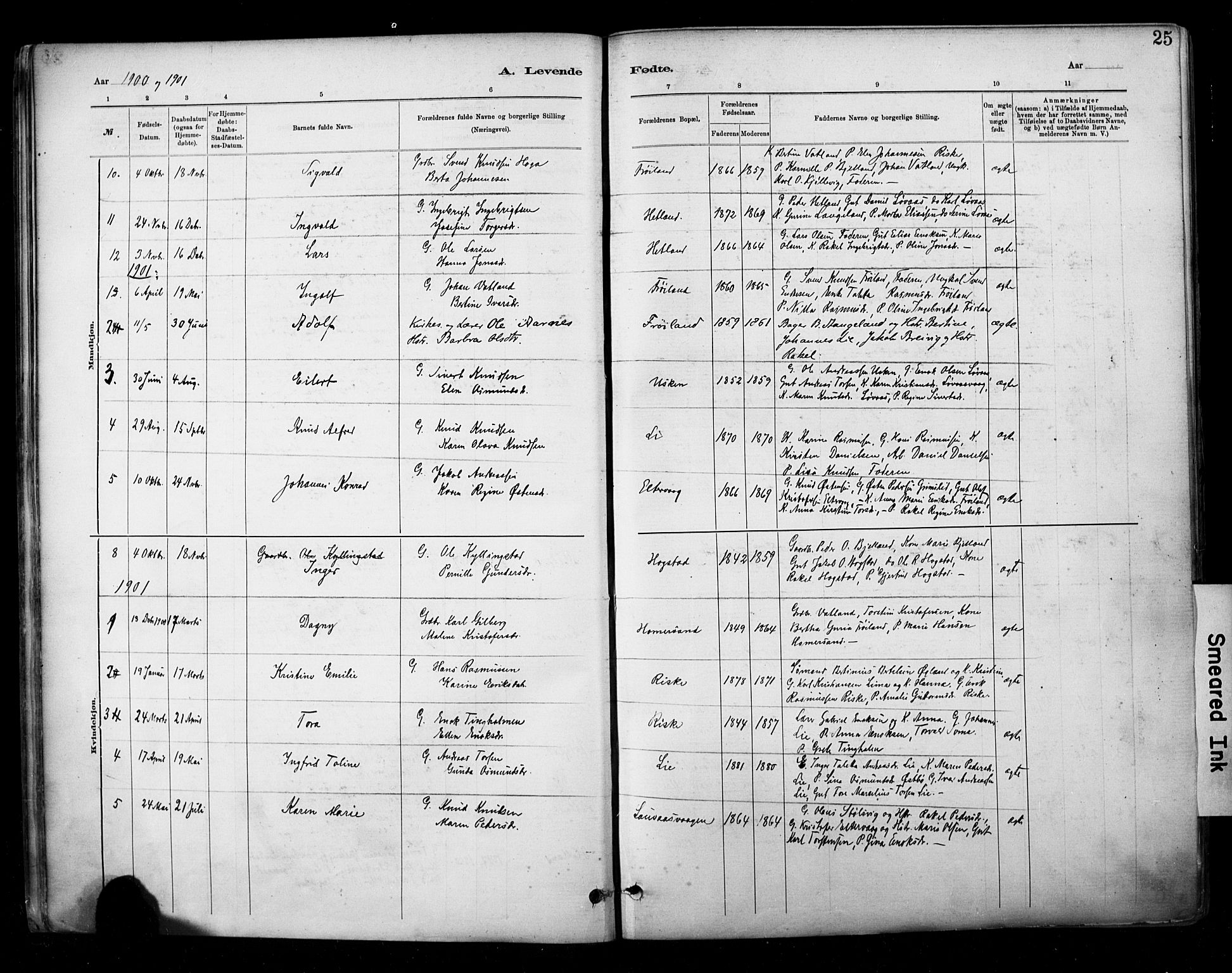 Hetland sokneprestkontor, AV/SAST-A-101826/30/30BA/L0010: Parish register (official) no. A 10, 1882-1925, p. 25