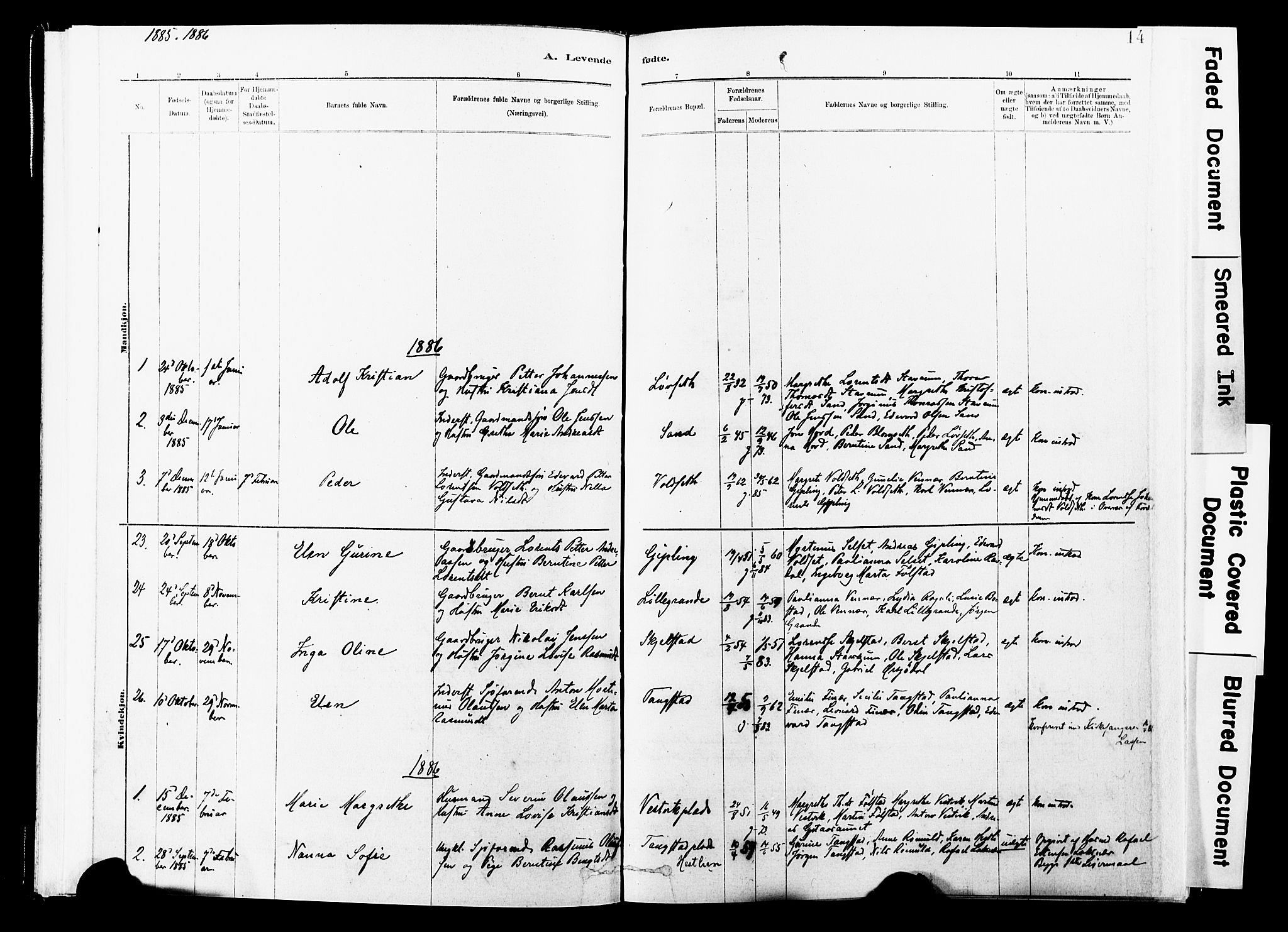 Ministerialprotokoller, klokkerbøker og fødselsregistre - Nord-Trøndelag, AV/SAT-A-1458/744/L0420: Parish register (official) no. 744A04, 1882-1904, p. 14