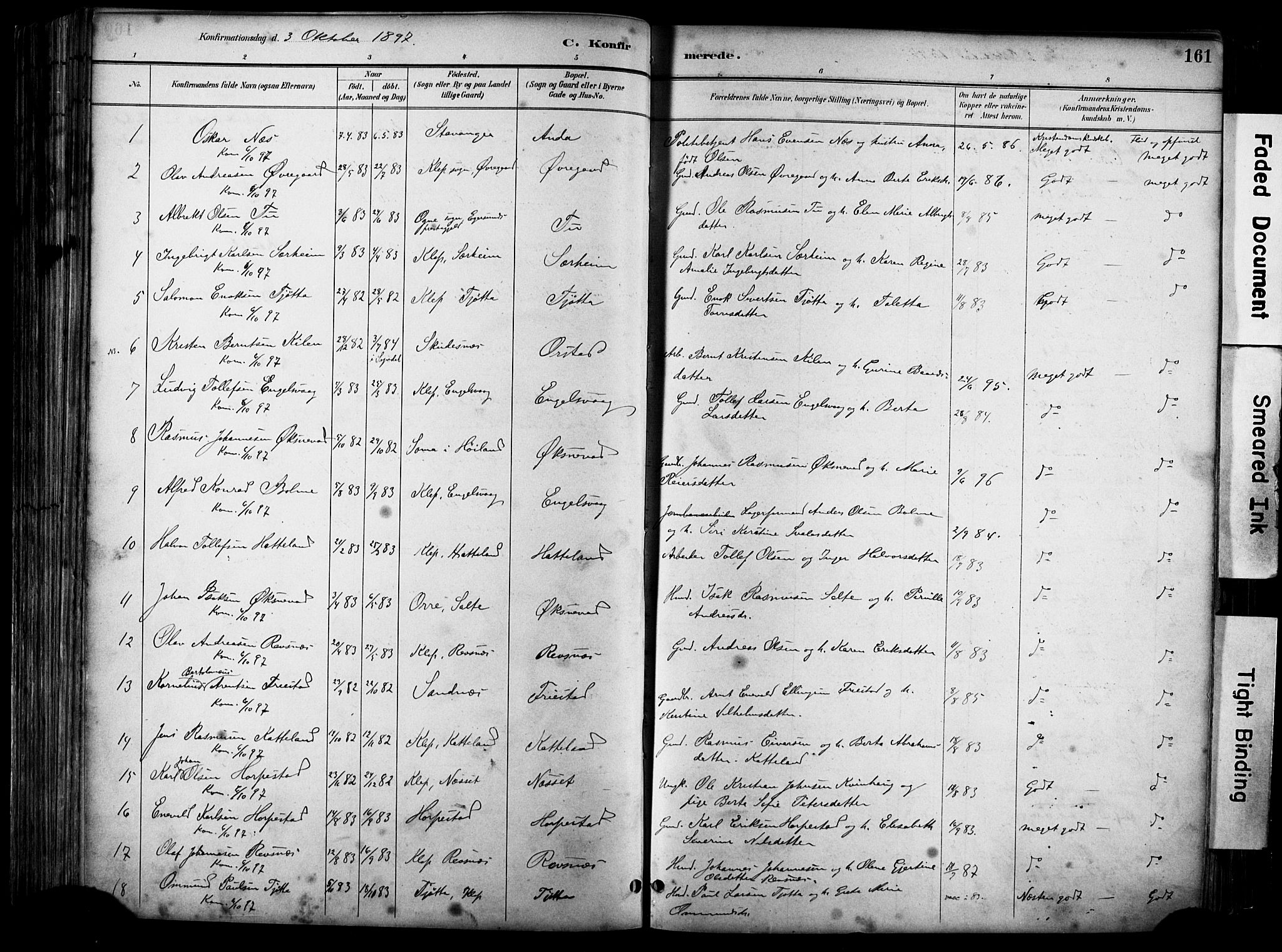 Klepp sokneprestkontor, SAST/A-101803/001/3/30BA/L0009: Parish register (official) no. A 7, 1886-1915, p. 161