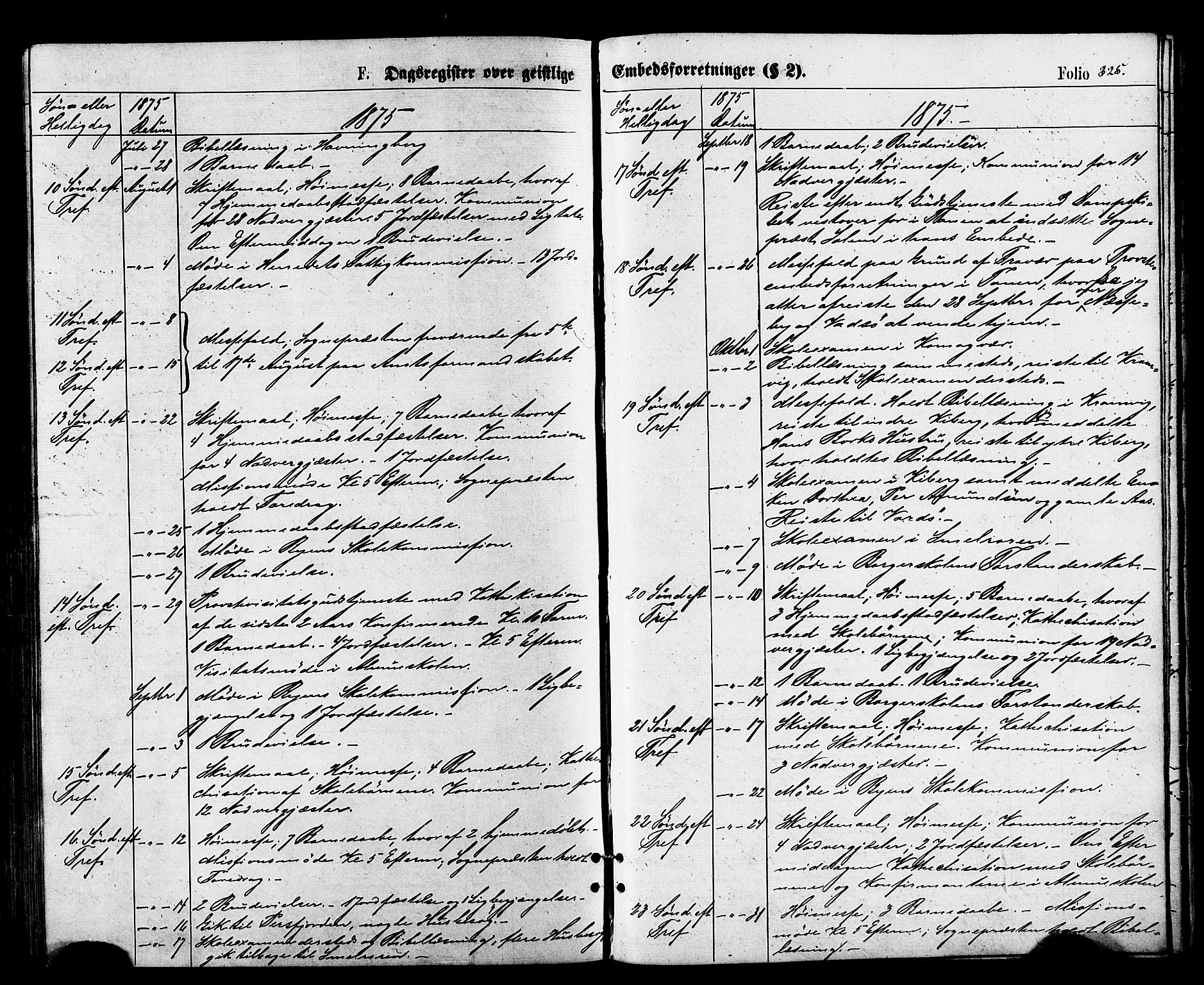 Vardø sokneprestkontor, SATØ/S-1332/H/Ha/L0005kirke: Parish register (official) no. 5, 1872-1878, p. 325