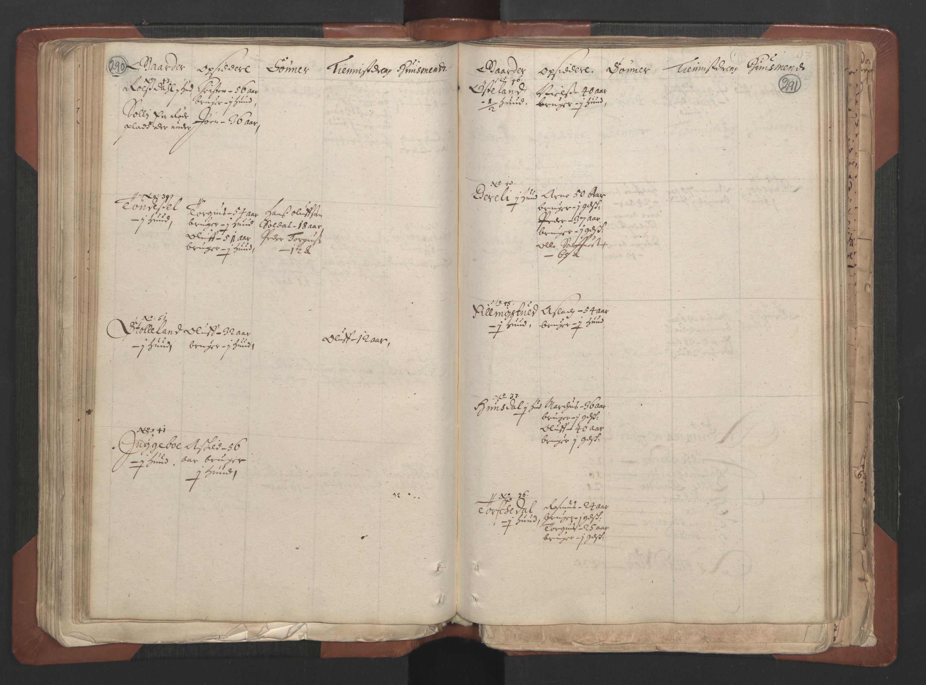 RA, Bailiff's Census 1664-1666, no. 7: Nedenes fogderi, 1664-1666, p. 290-291