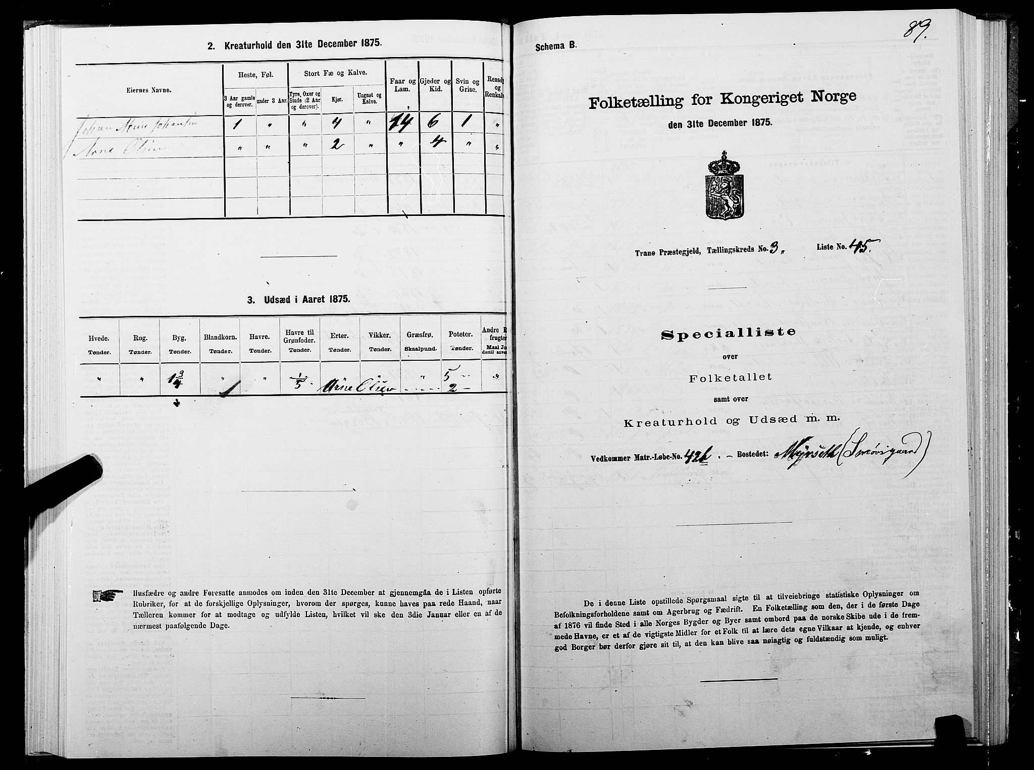 SATØ, 1875 census for 1927P Tranøy, 1875, p. 2089