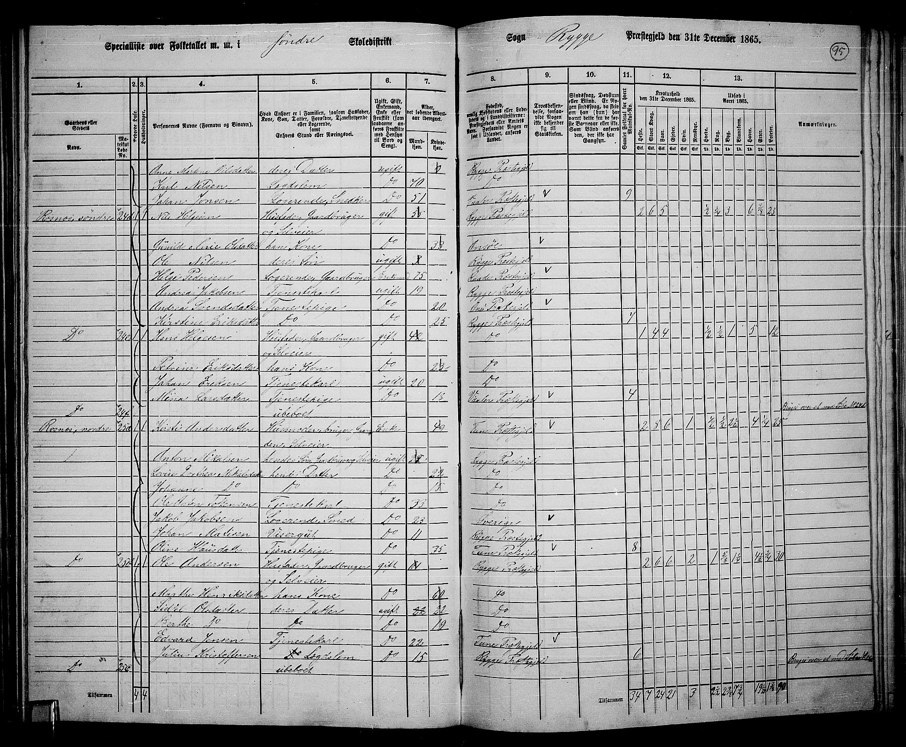 RA, 1865 census for Rygge, 1865, p. 38