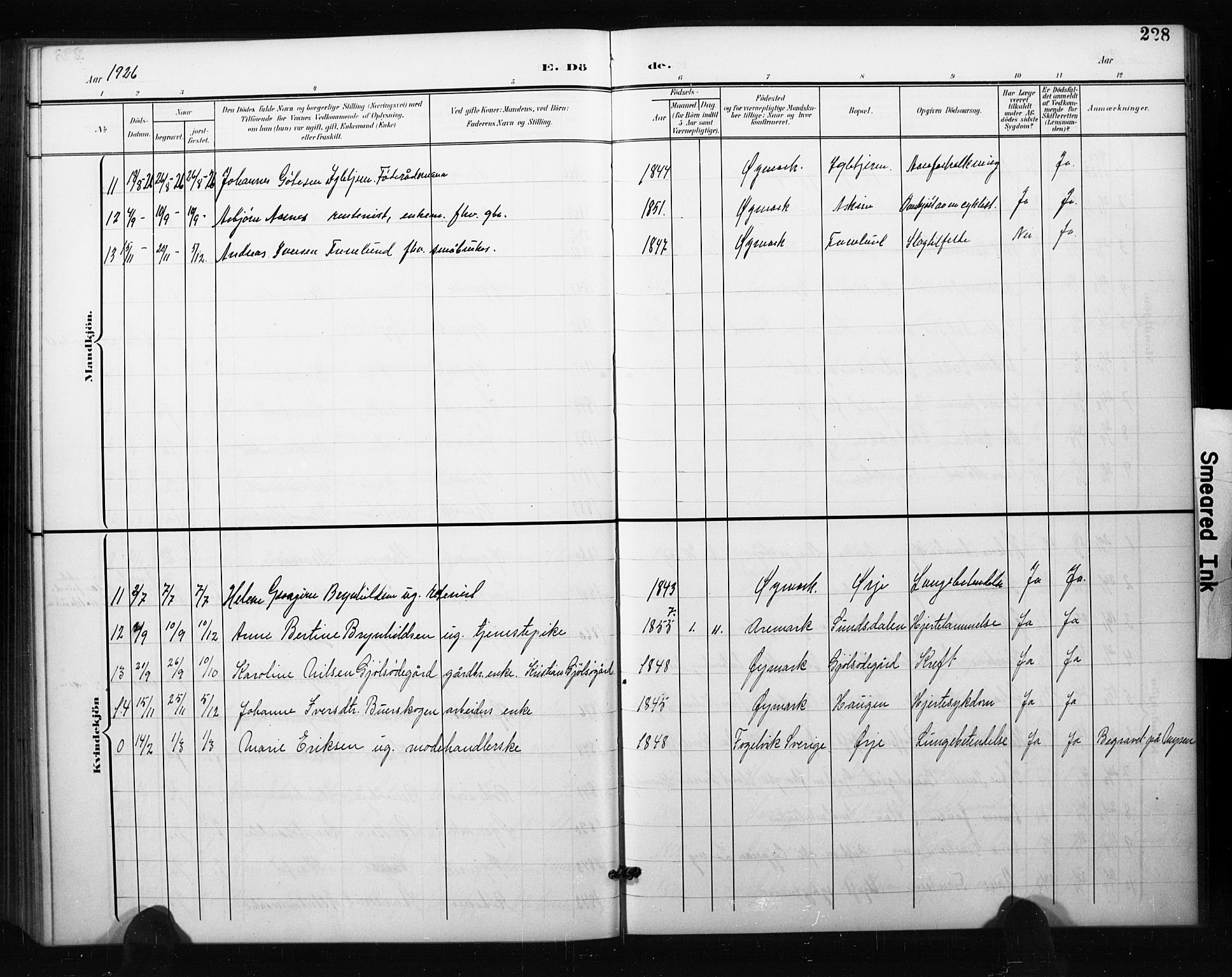 Aremark prestekontor Kirkebøker, SAO/A-10899/G/Gb/L0001: Parish register (copy) no. II 1, 1901-1927, p. 228