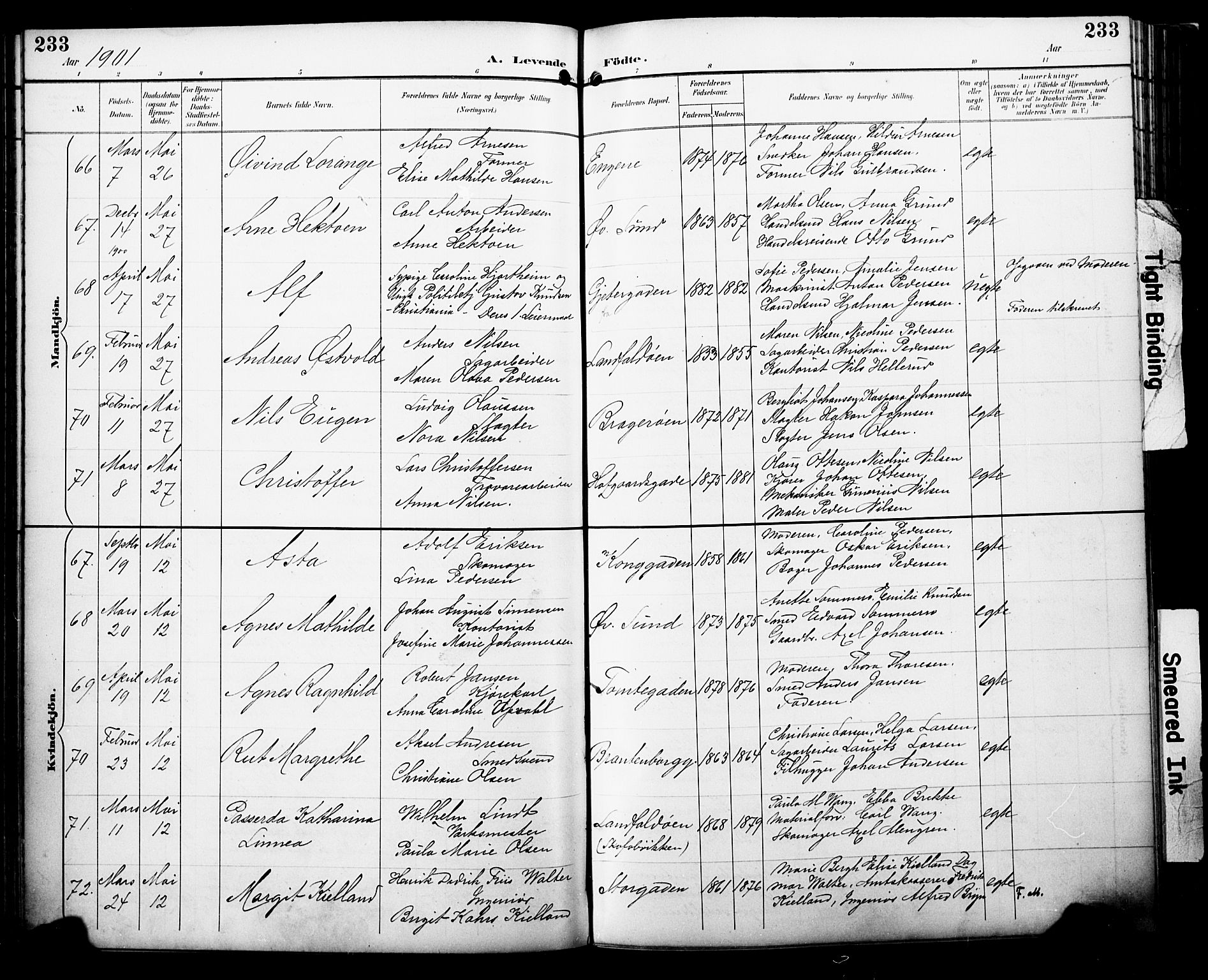 Bragernes kirkebøker, SAKO/A-6/F/Fb/L0008: Parish register (official) no. II 8, 1894-1902, p. 233