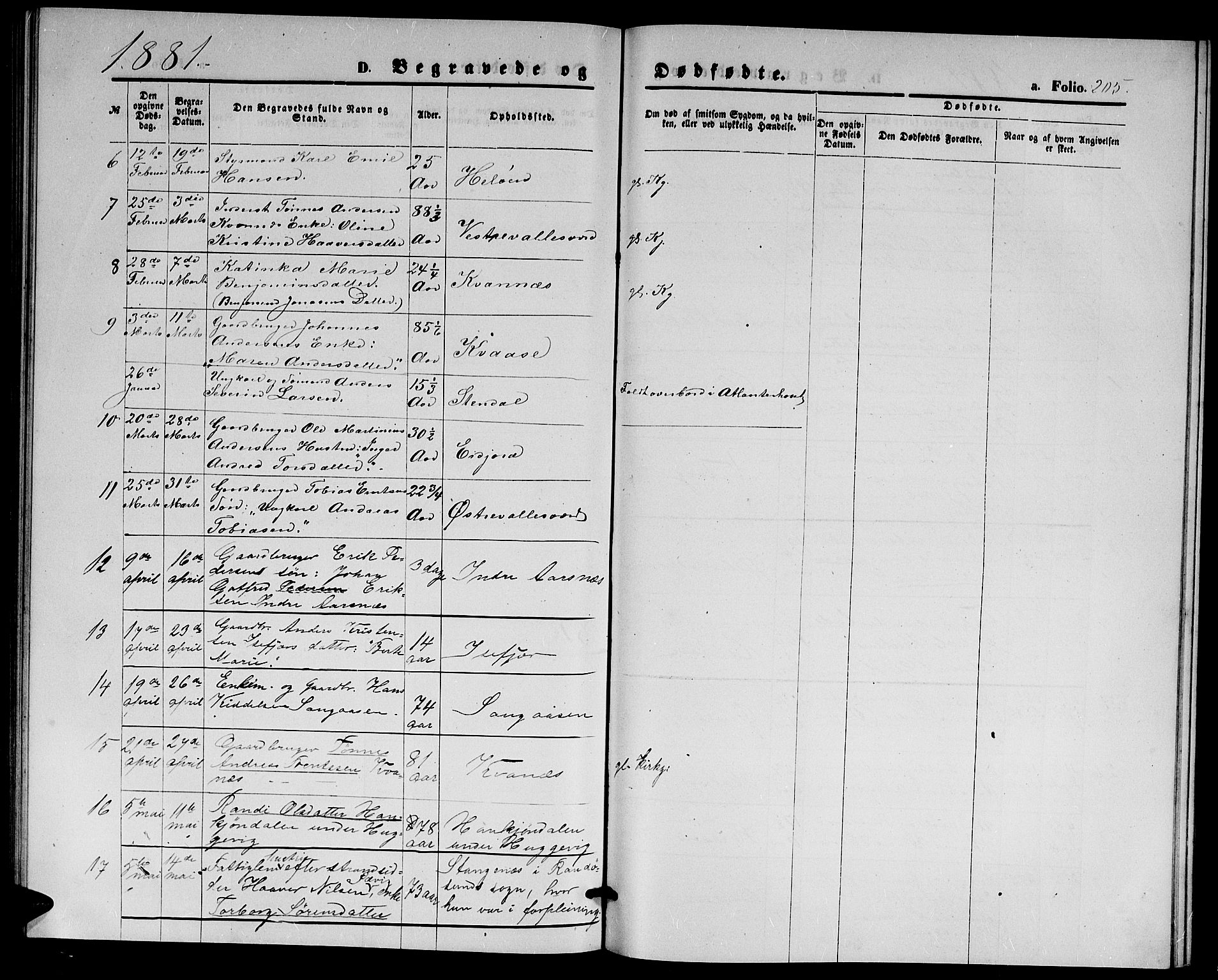 Høvåg sokneprestkontor, SAK/1111-0025/F/Fb/L0003: Parish register (copy) no. B 3, 1870-1882, p. 205