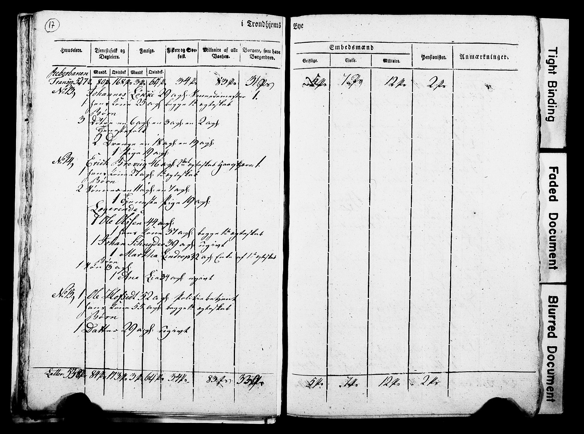 RA, Census 1815 for Trondheim, 1815, p. 16