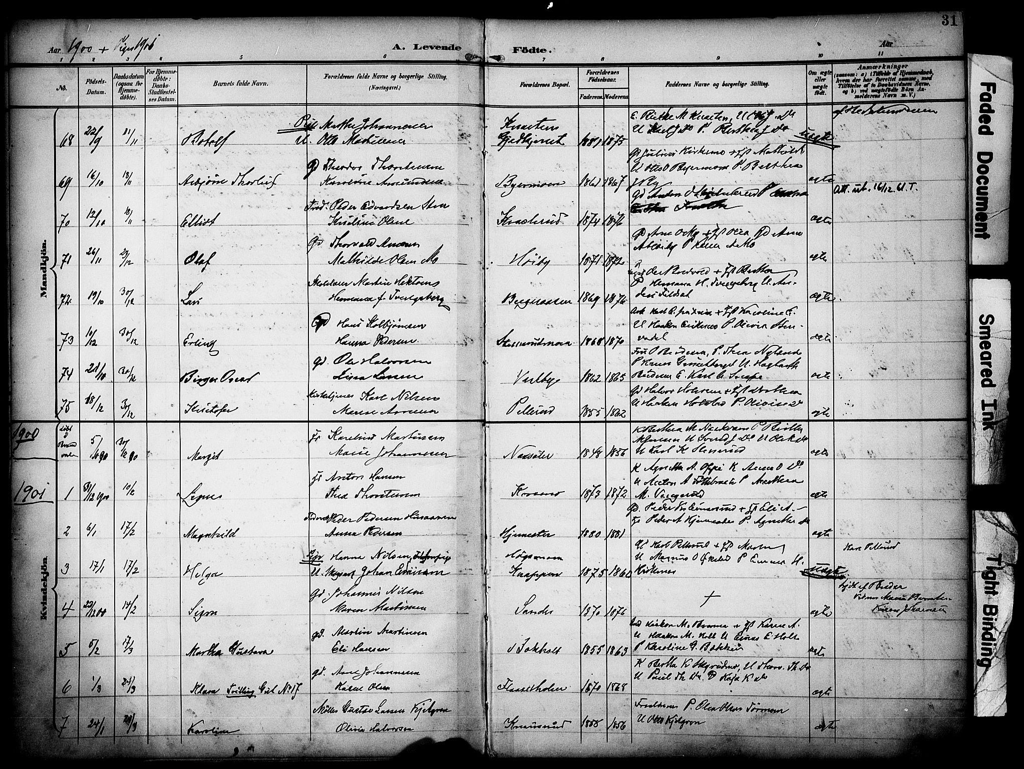 Grue prestekontor, AV/SAH-PREST-036/H/Ha/Haa/L0013: Parish register (official) no. 13, 1898-1910, p. 31