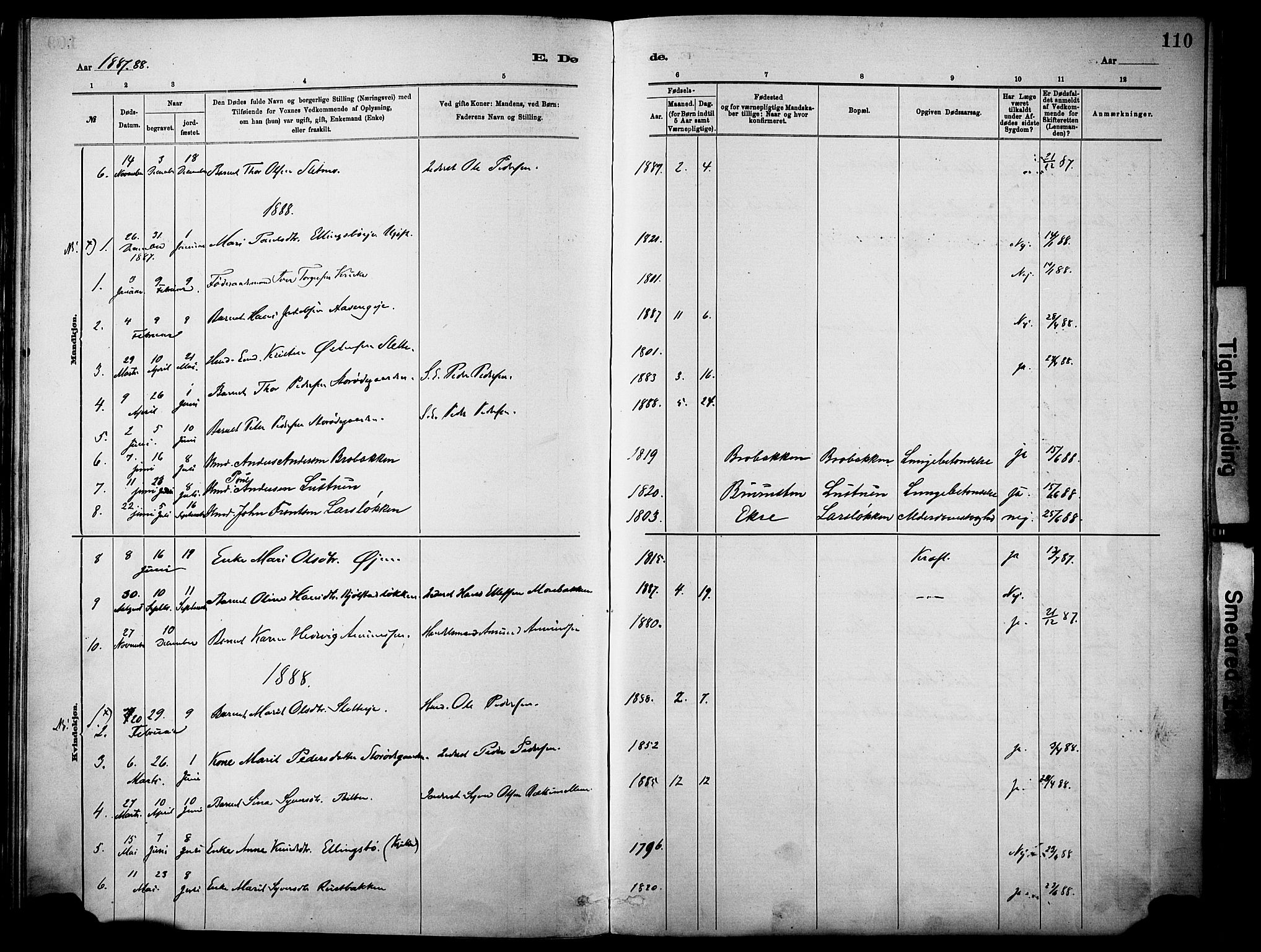 Vågå prestekontor, SAH/PREST-076/H/Ha/Haa/L0010: Parish register (official) no. 10, 1887-1904, p. 110