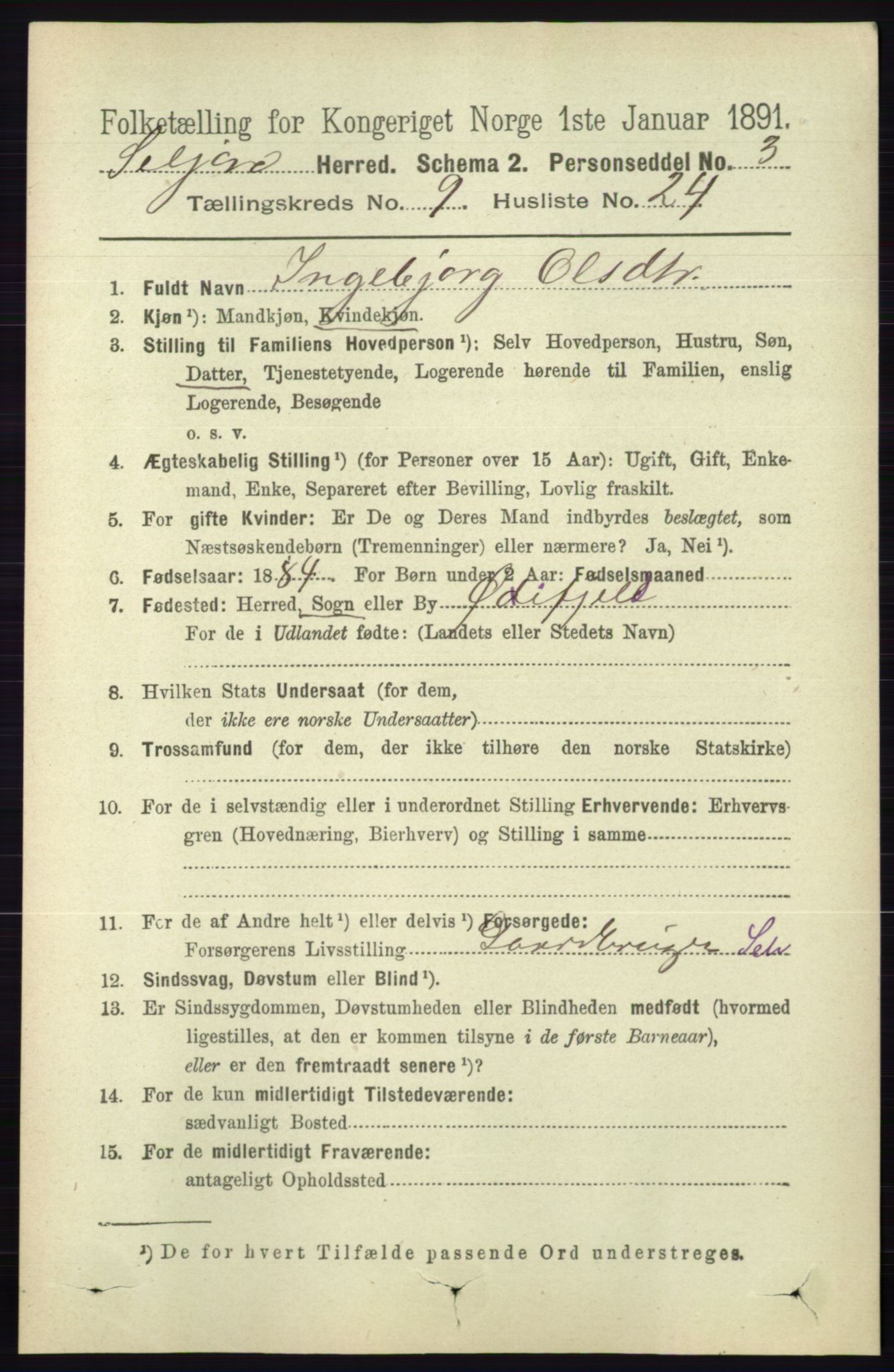 RA, 1891 census for 0828 Seljord, 1891, p. 3306