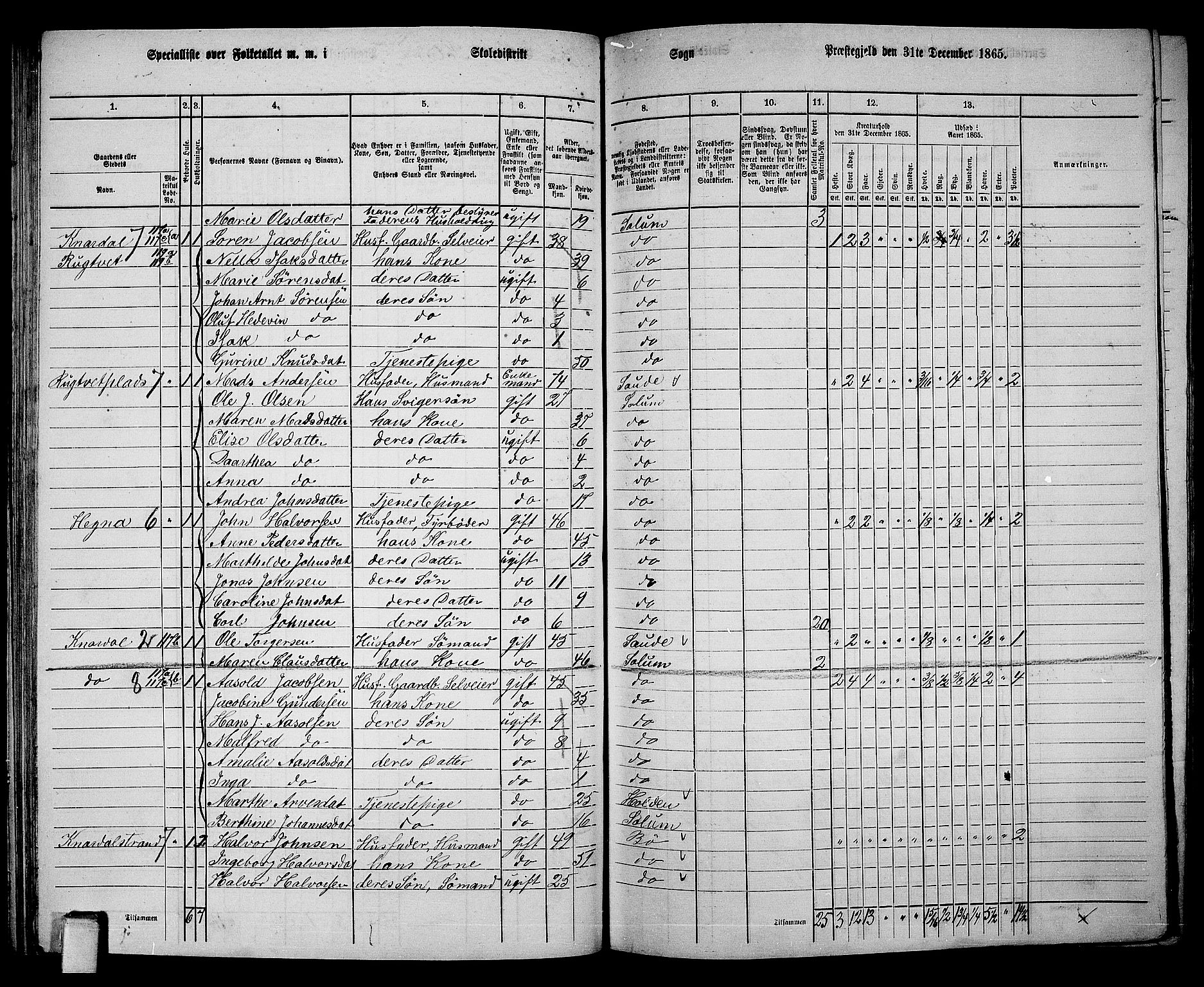 RA, 1865 census for Solum, 1865, p. 104