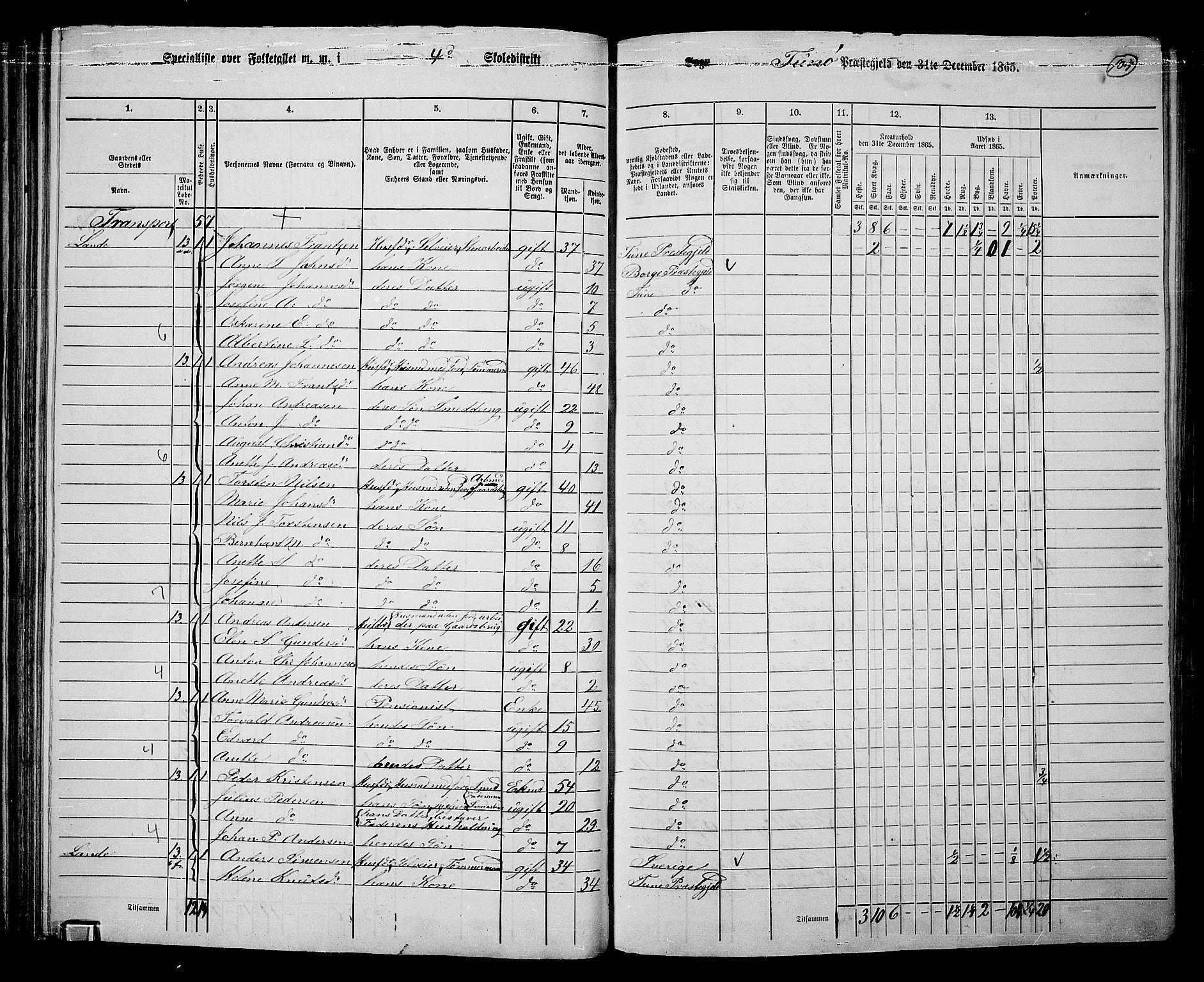 RA, 1865 census for Tune, 1865, p. 97