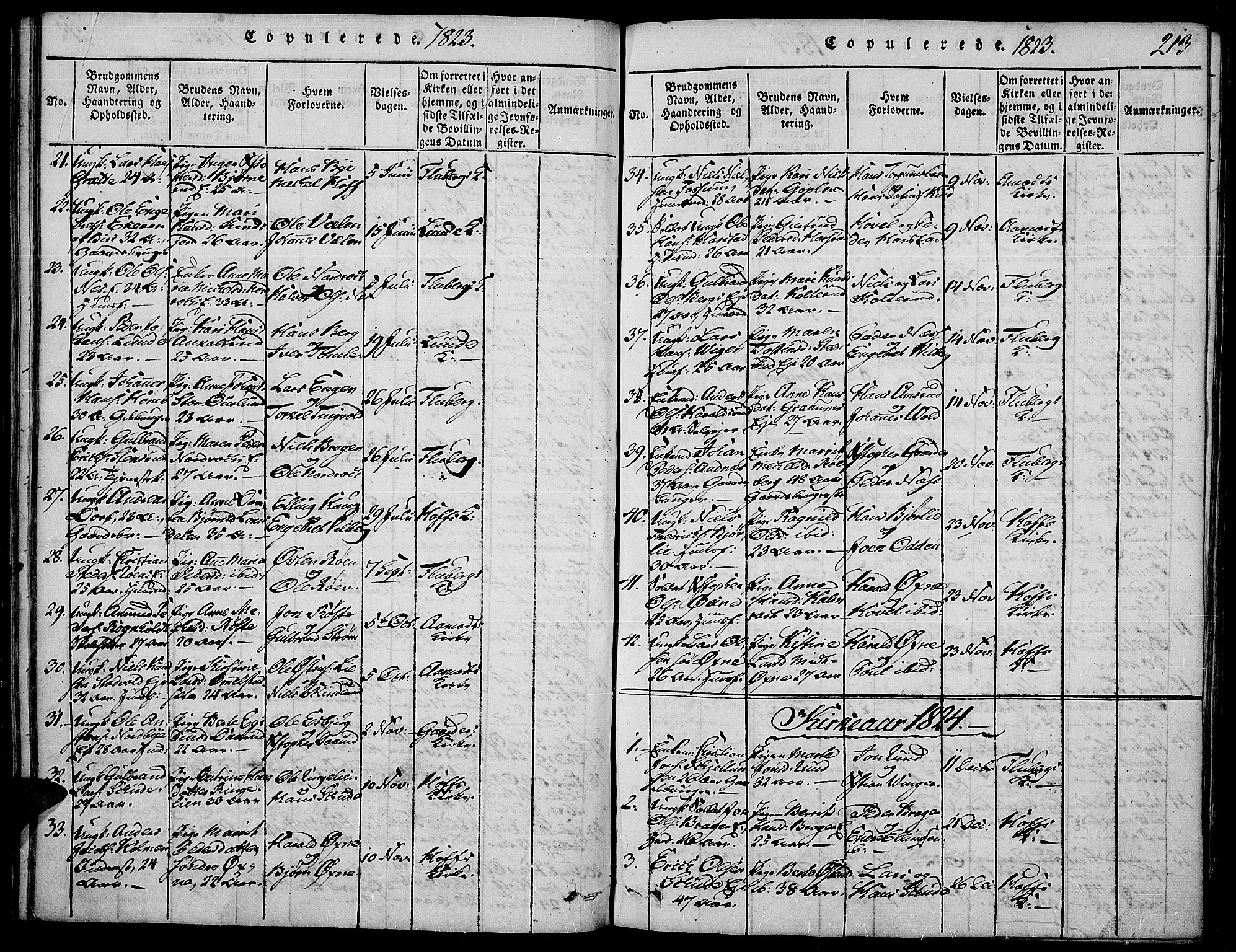Land prestekontor, SAH/PREST-120/H/Ha/Haa/L0007: Parish register (official) no. 7, 1814-1830, p. 213