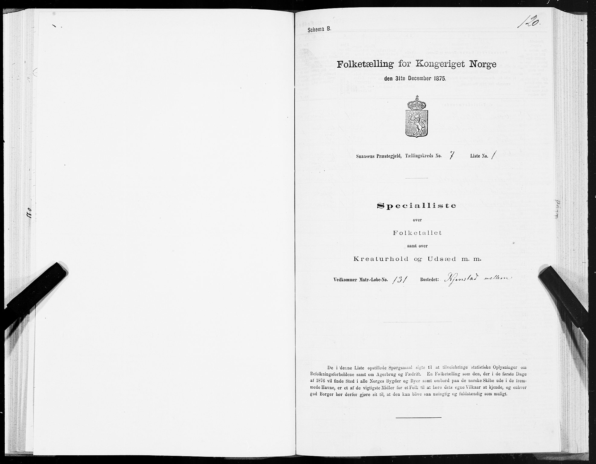 SAT, 1875 census for 1736P Snåsa, 1875, p. 3120