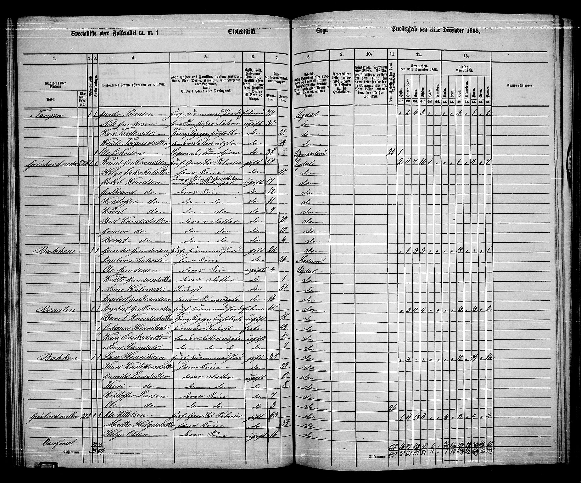 RA, 1865 census for Sigdal, 1865, p. 146