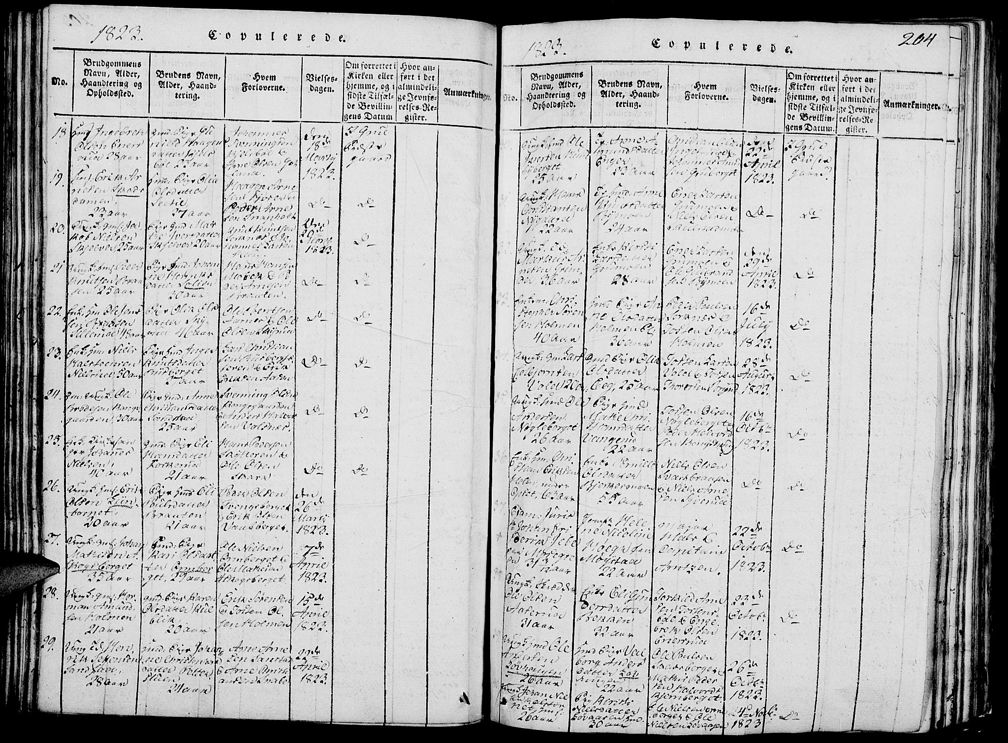 Grue prestekontor, SAH/PREST-036/H/Ha/Hab/L0002: Parish register (copy) no. 2, 1815-1841, p. 204