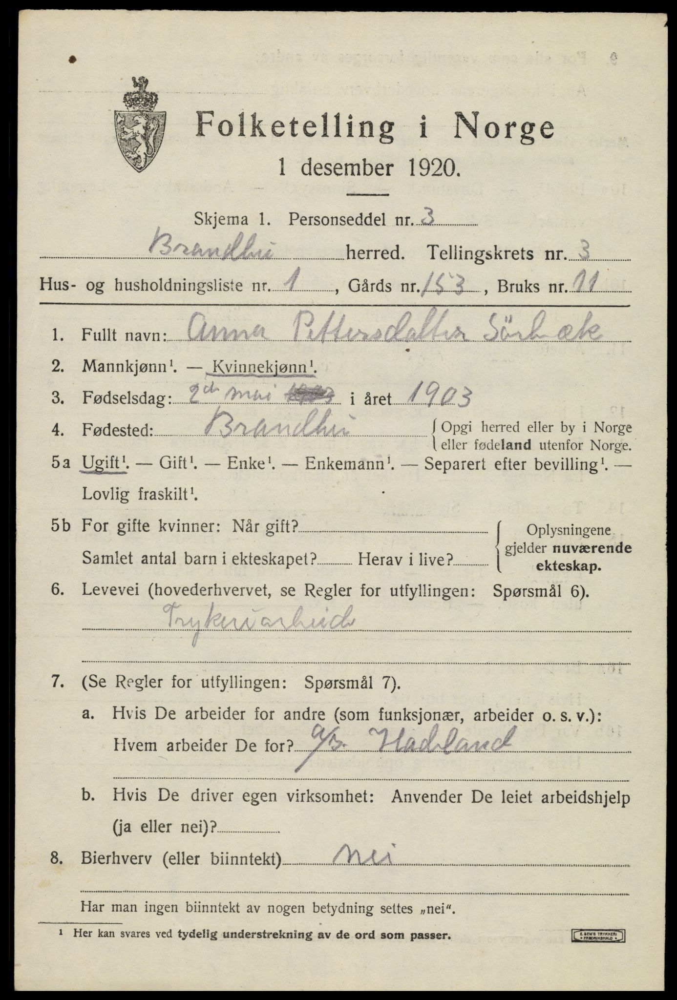 SAH, 1920 census for Brandbu, 1920, p. 8021