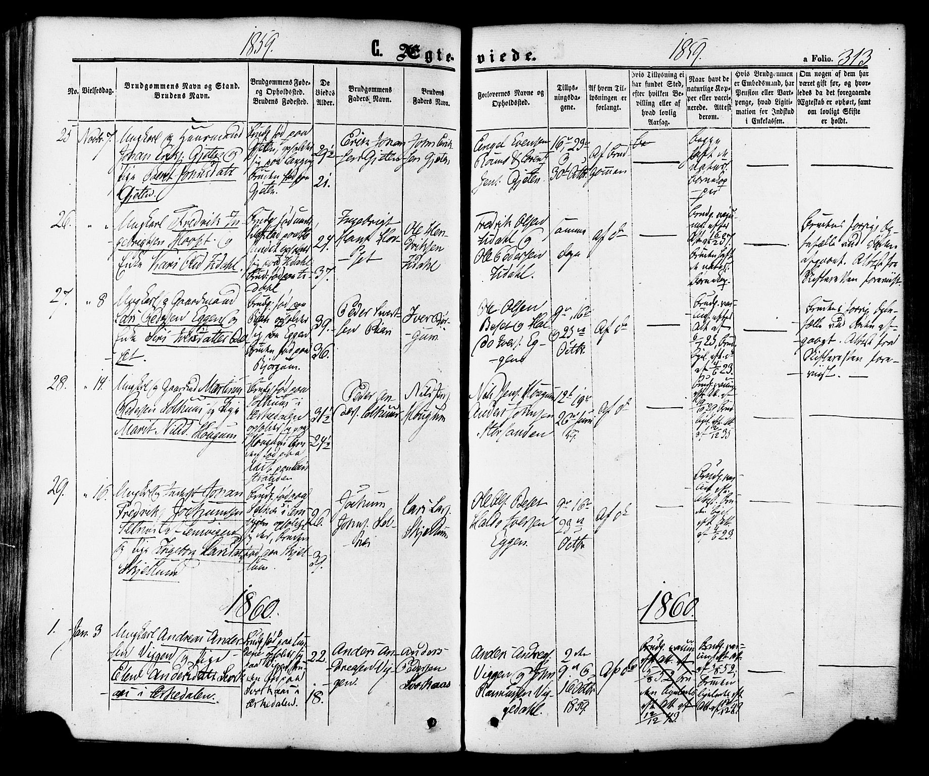 Ministerialprotokoller, klokkerbøker og fødselsregistre - Sør-Trøndelag, SAT/A-1456/665/L0772: Parish register (official) no. 665A07, 1856-1878, p. 313