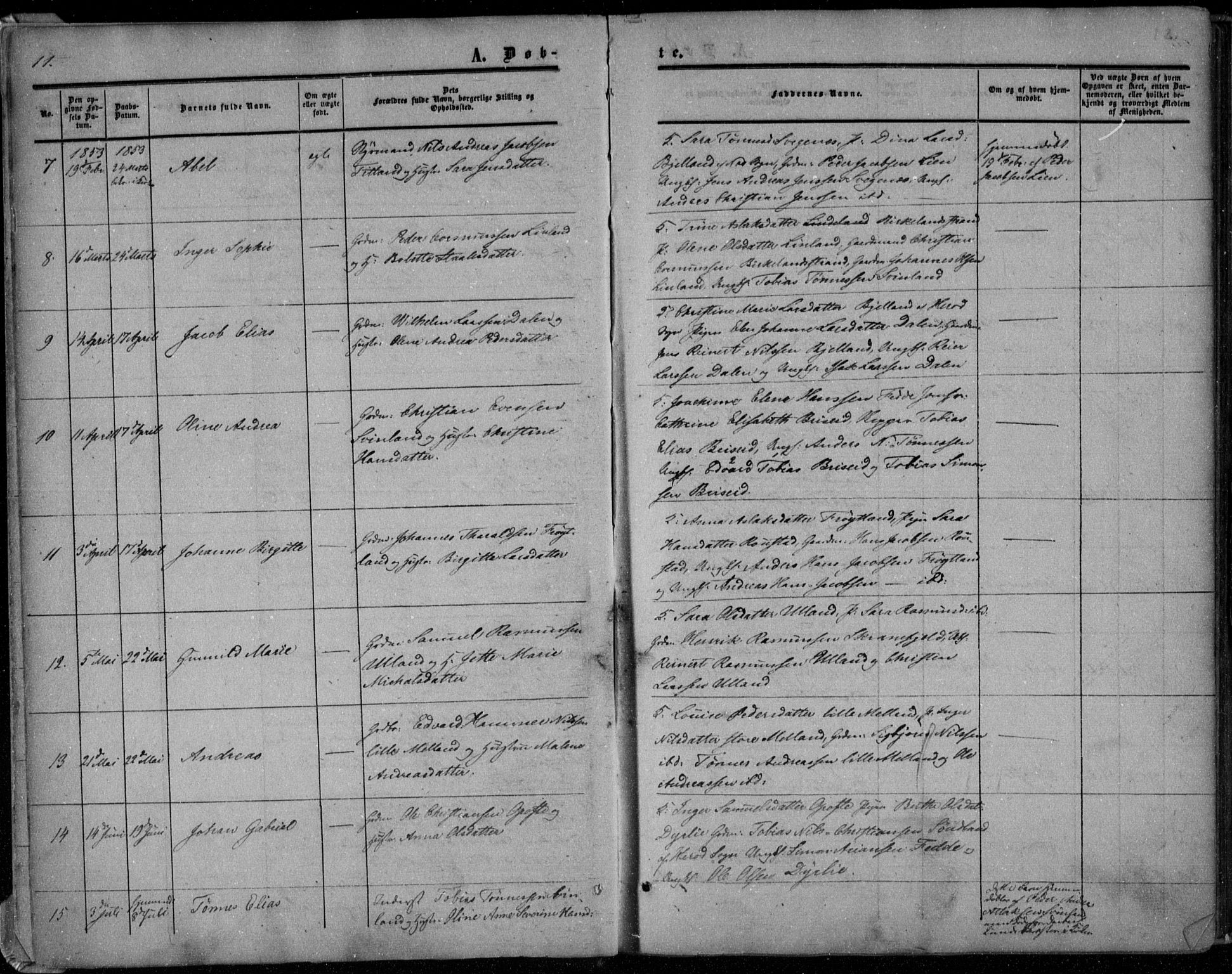 Kvinesdal sokneprestkontor, AV/SAK-1111-0026/F/Fa/Faa/L0002: Parish register (official) no. A 2, 1850-1876, p. 11