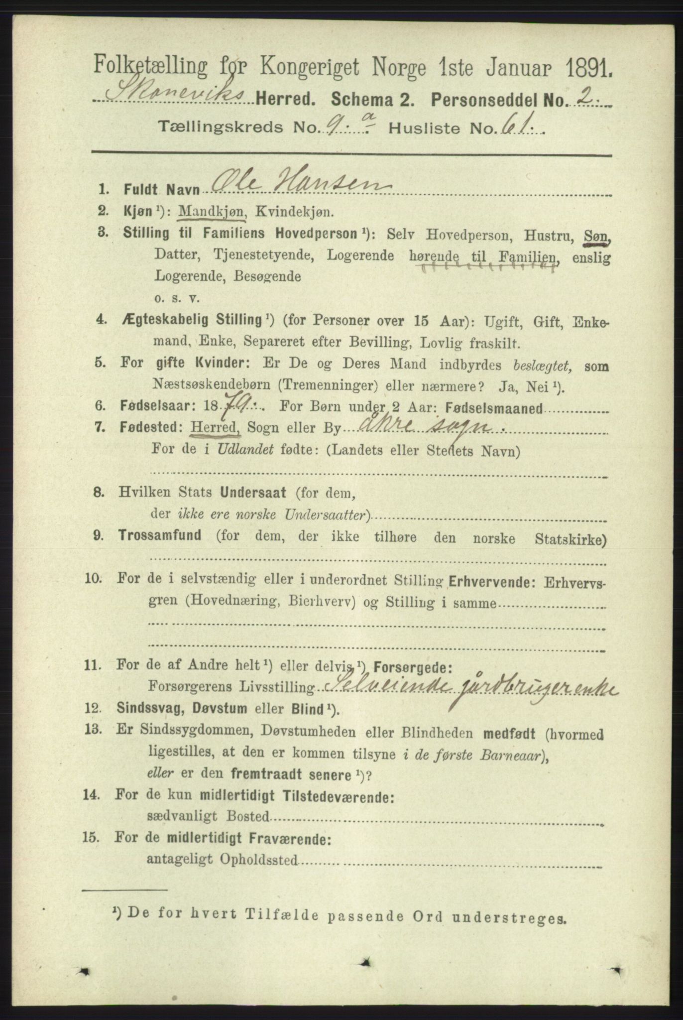 RA, 1891 census for 1212 Skånevik, 1891, p. 2851